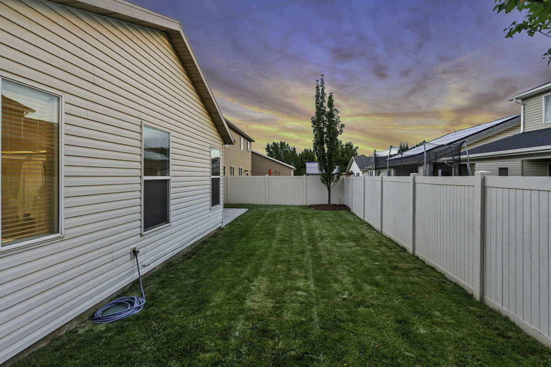 Expansive backyard featuring a manicured lawn, a young tree, and a light-toned privacy fence