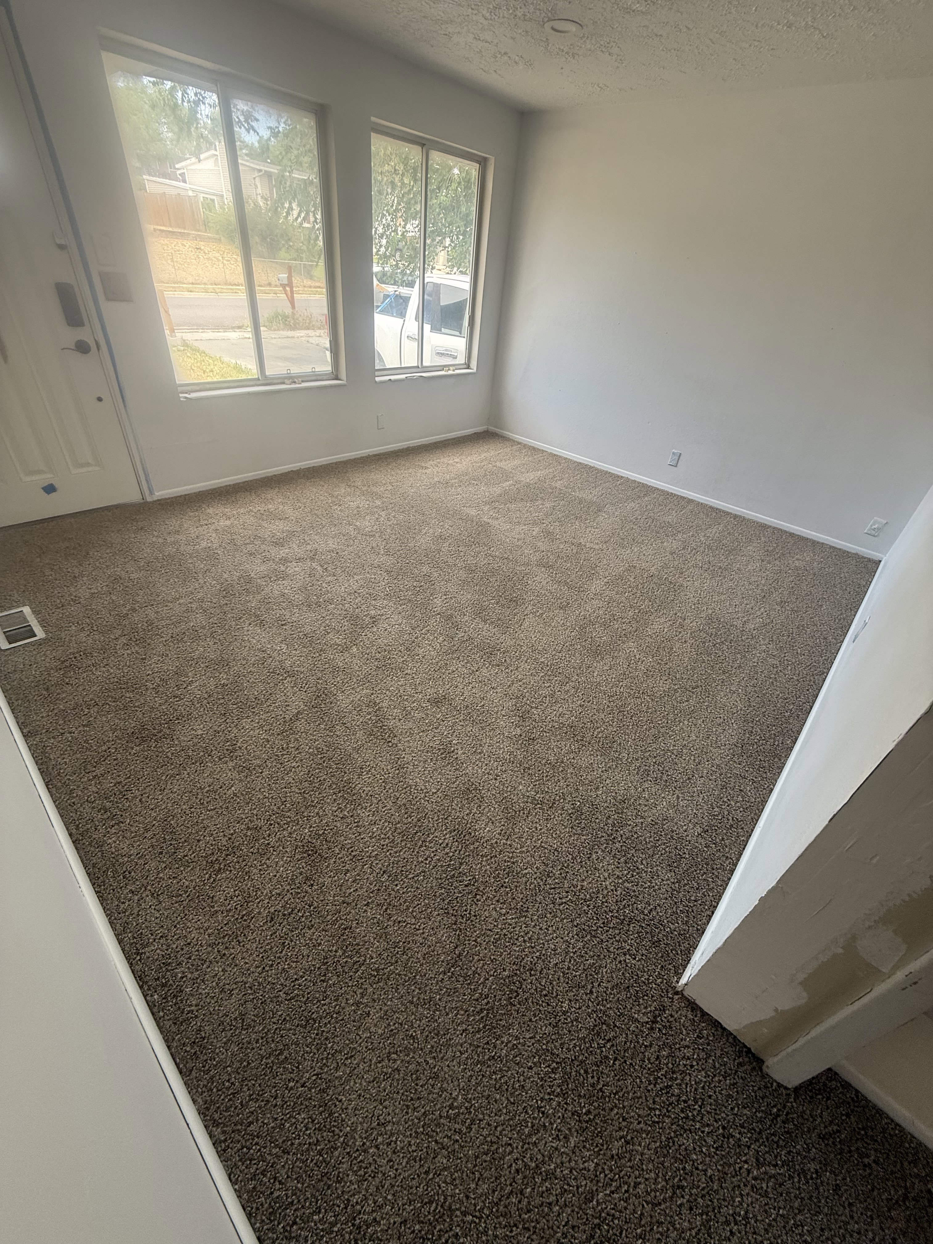 Carpeted living area featuring two large windows,  white entry door with glass window