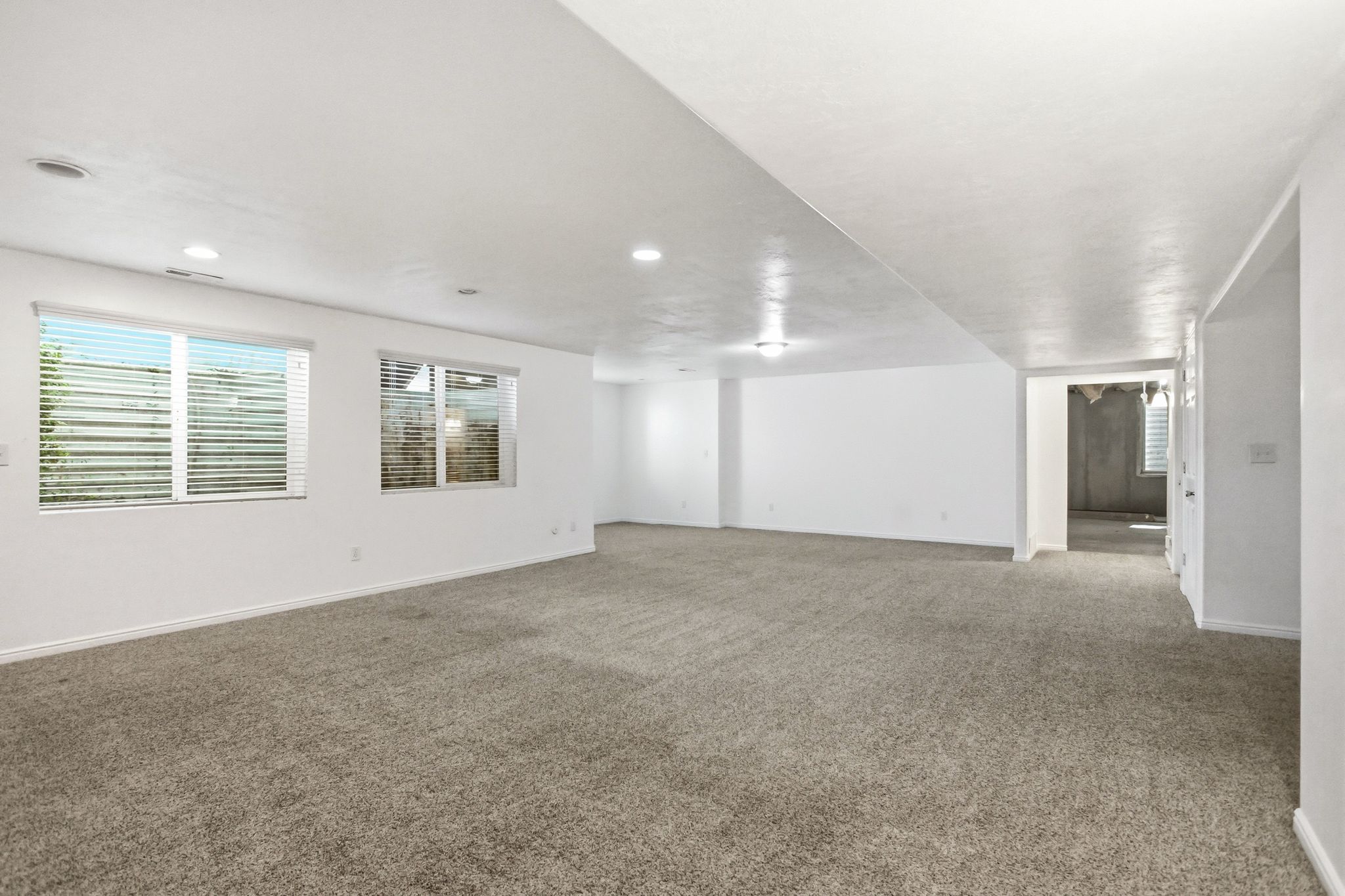 Expansive carpeted room featuring two windows with horizontal blinds, recessed lighting, and white walls