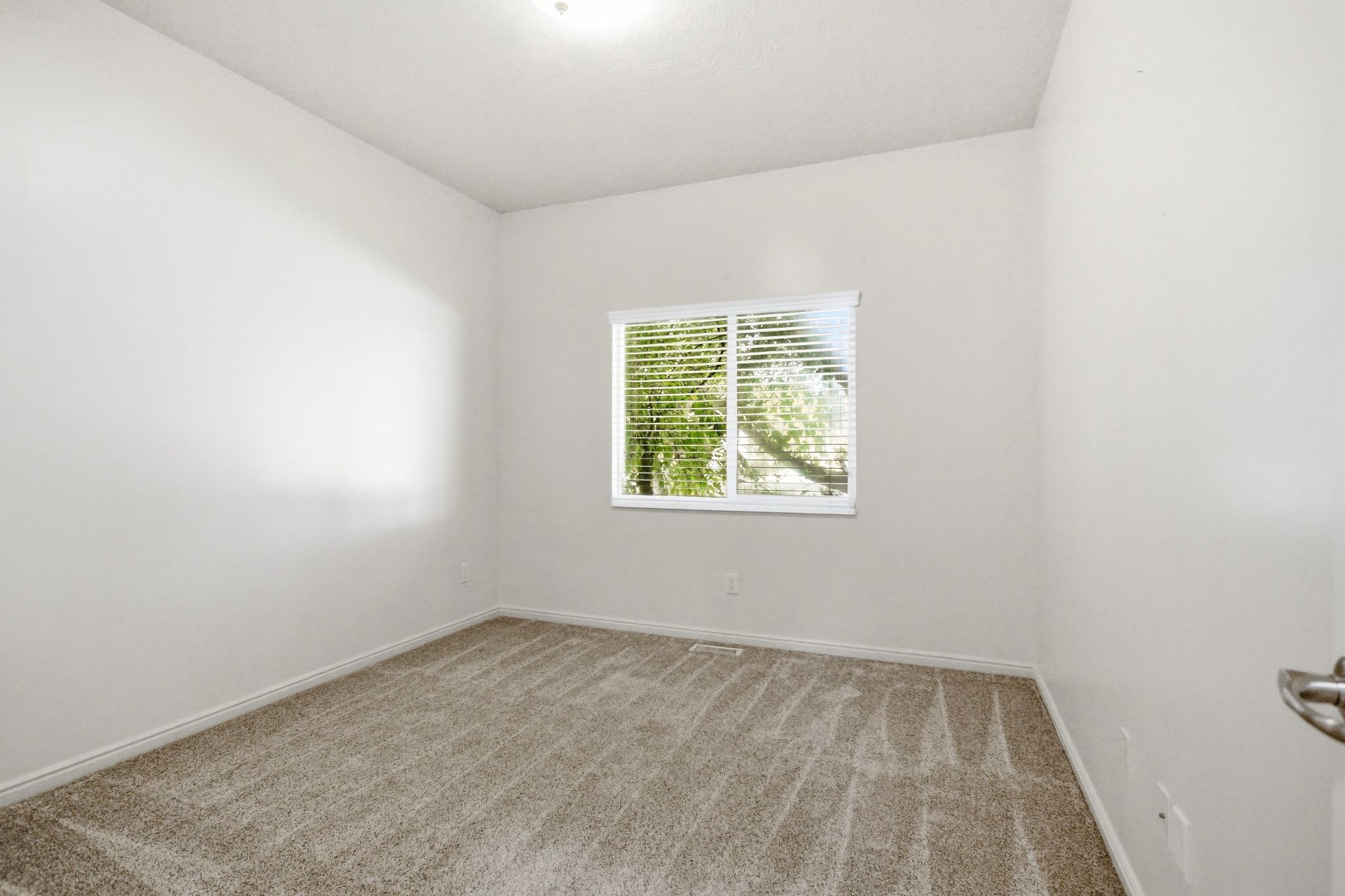 Carpeted room featuring a single window with horizontal blinds, white walls, and a ceiling-mounted light fixture