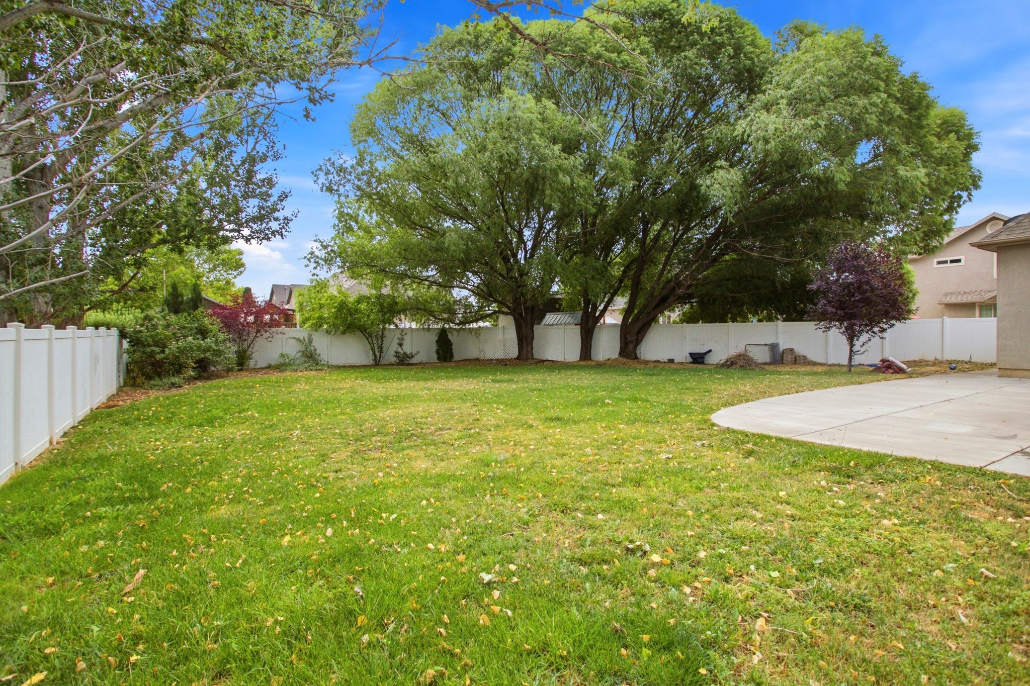 Expansive lawn area featuring a curved concrete patio, mature trees, and a white privacy fence
