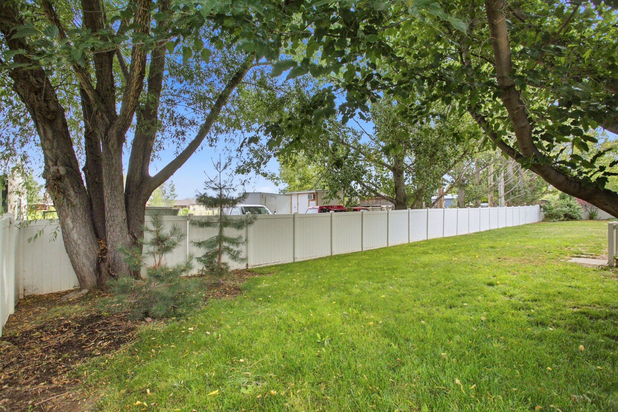 Expansive green lawn framed by mature trees