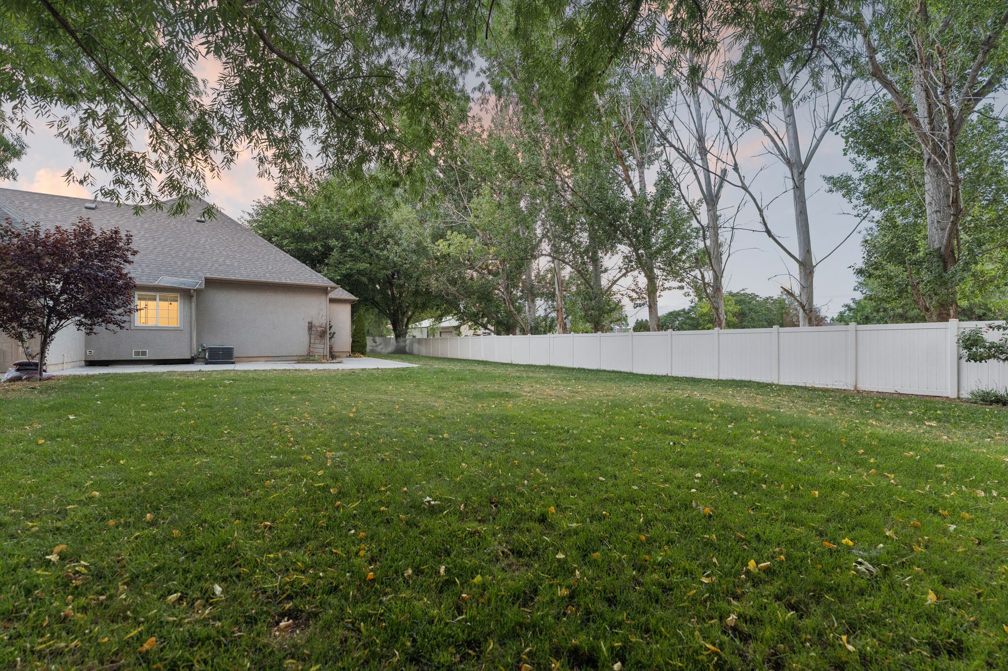 Expansive green lawn featuring a full privacy fence, mature trees, and a concrete patio