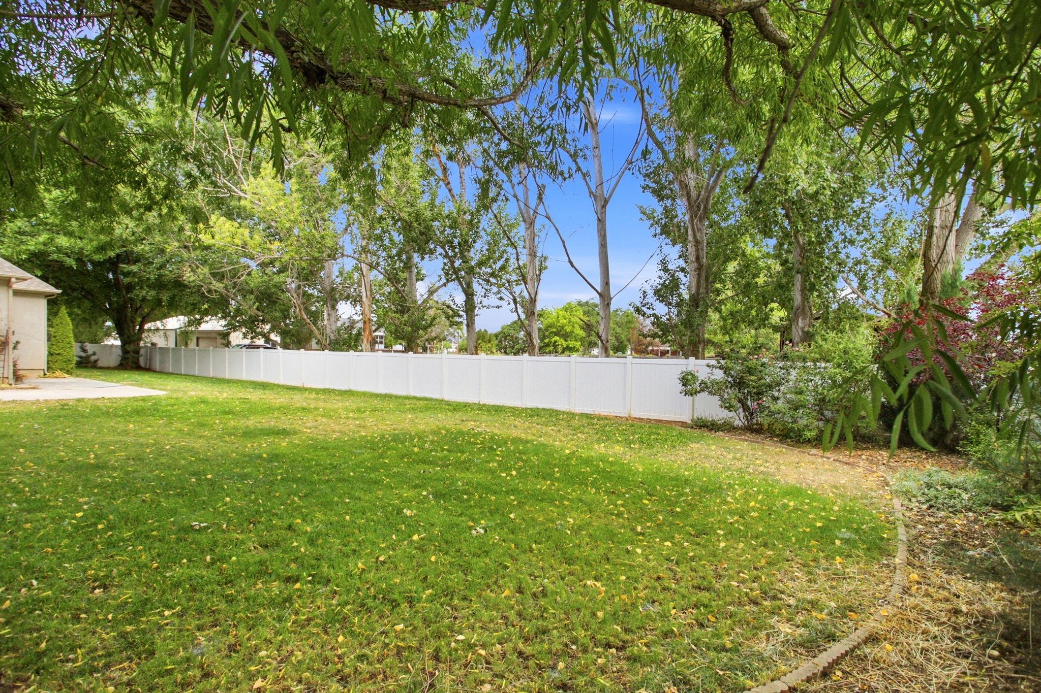 Expansive backyard featuring a lush green lawn and mature perimeter trees