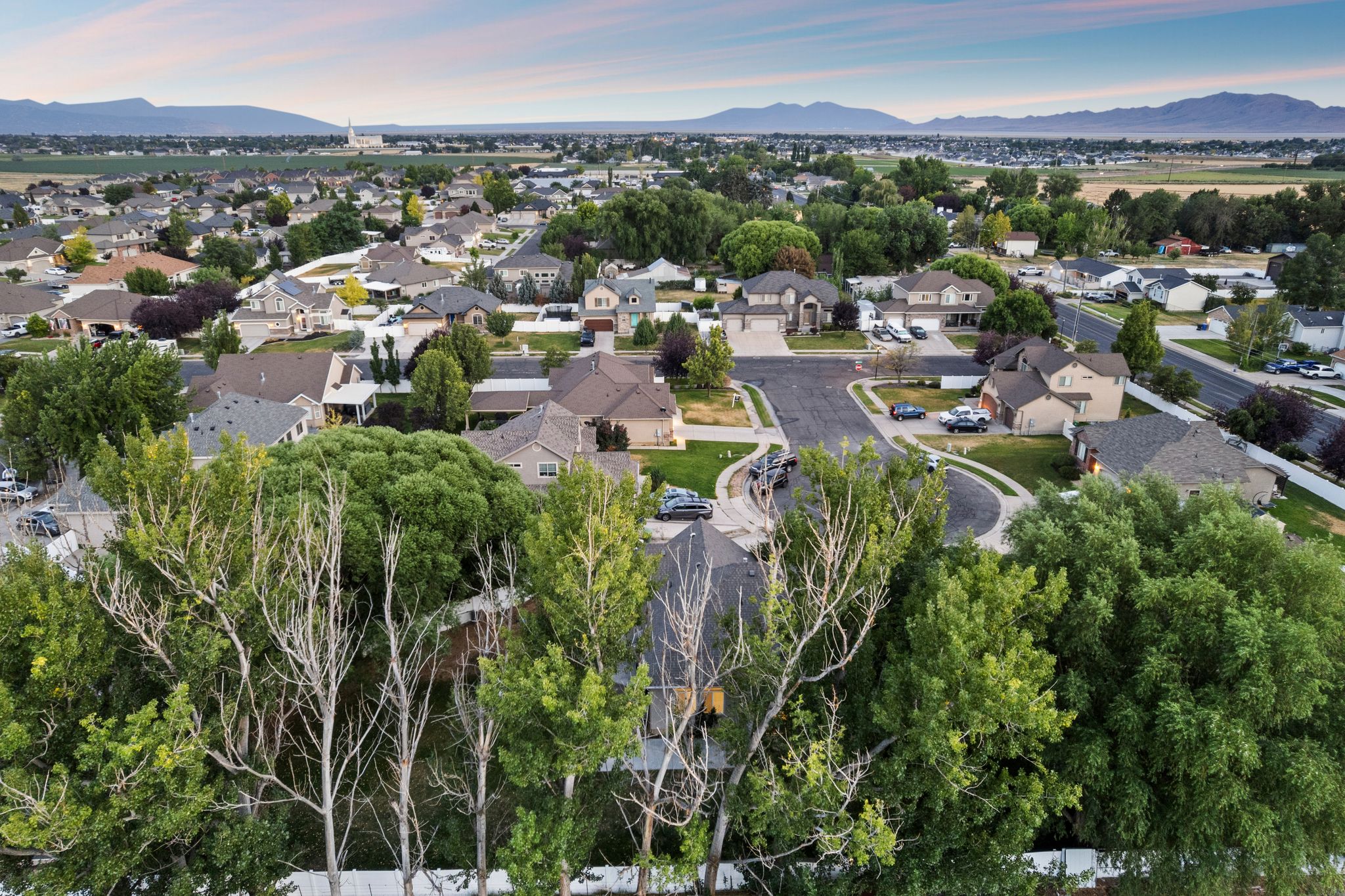 Residential neighborhood featuring a variety of single-family homes with mature landscaping and paved streets