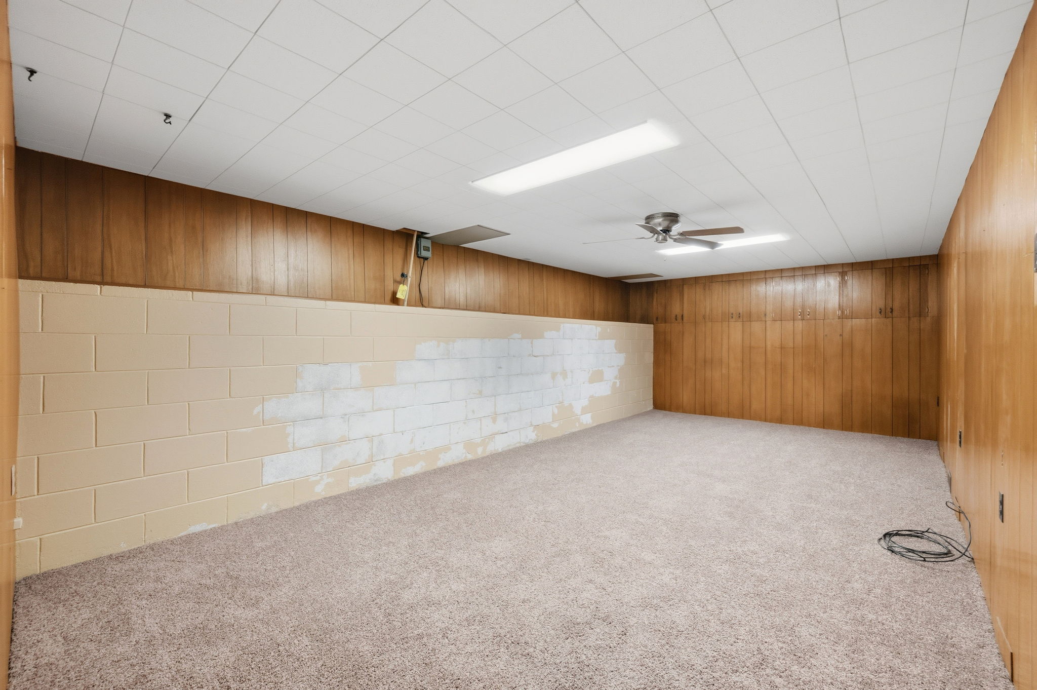 Basement Family Room