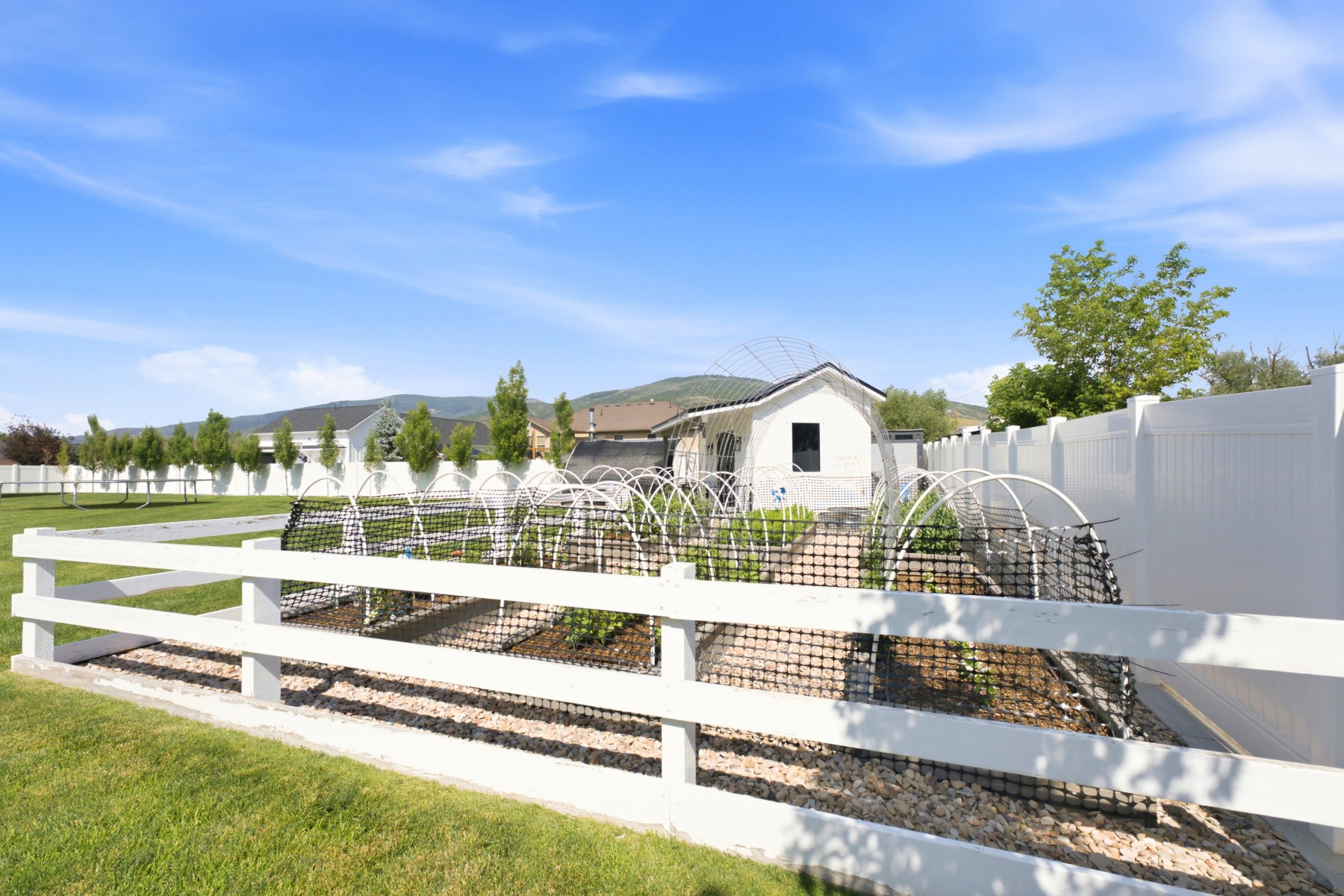 Expansive backyard featuring a lush lawn, white vinyl fencing, and a dedicated garden area with protective netting