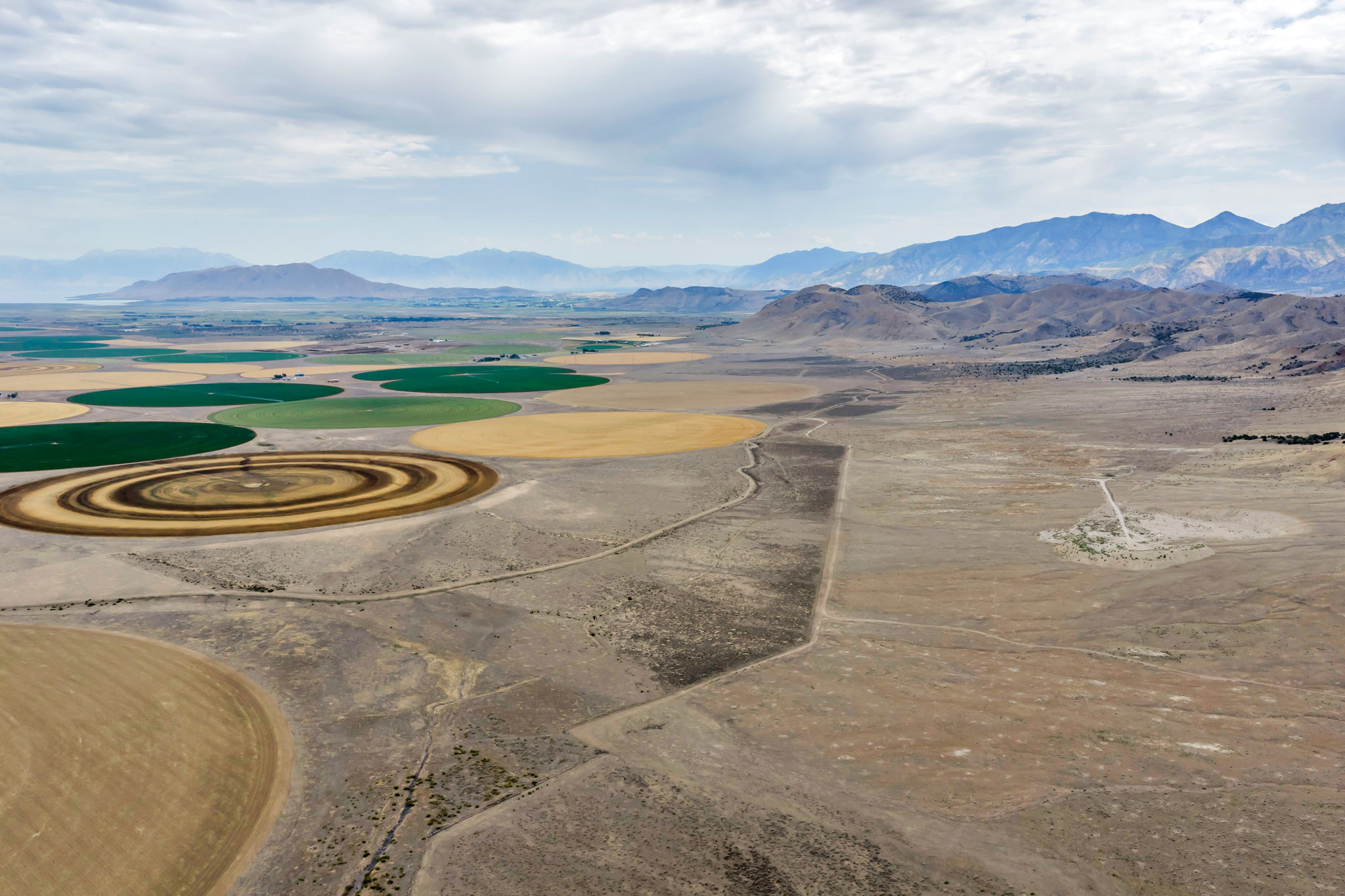 Expansive land with multiple circular agricultural fields and arid terrain