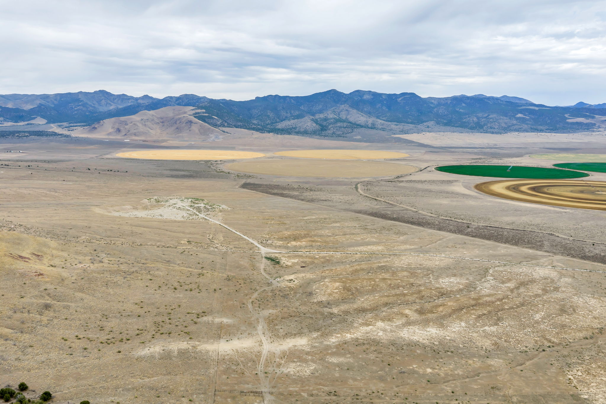 Expansive agricultural land featuring a dirt road, diverse vegetation, and circular irrigated fields