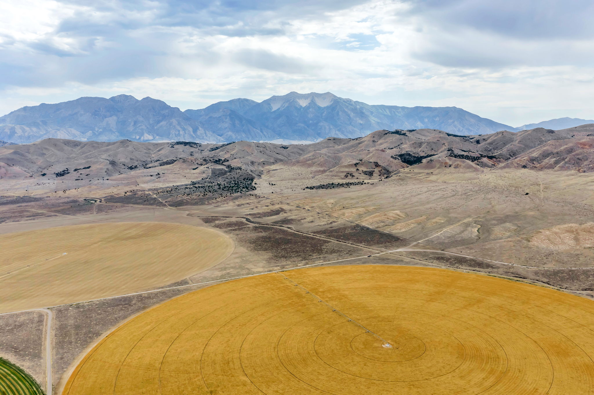 Expansive agricultural land featuring circular crop fields