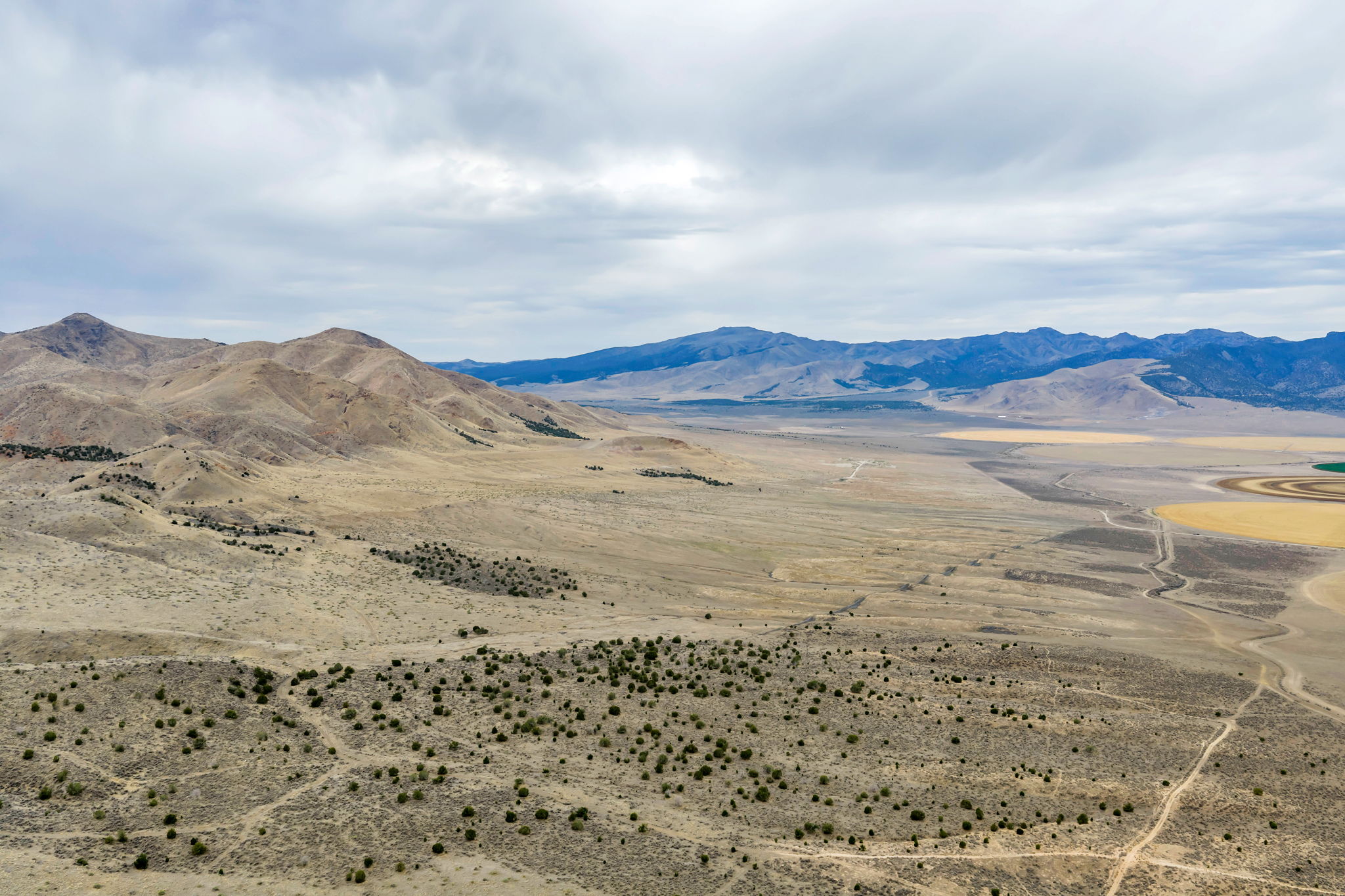 Expansive desert landscape featuring distant mountain ranges and scattered low-lying vegetation