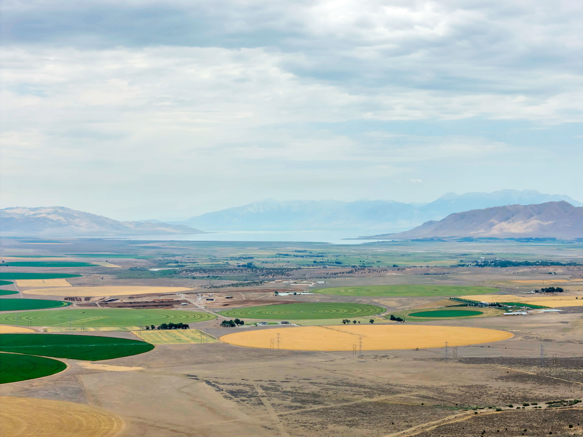 Expansive agricultural landscape featuring circular fields with varying crop colors, including vibrant green and golden hues