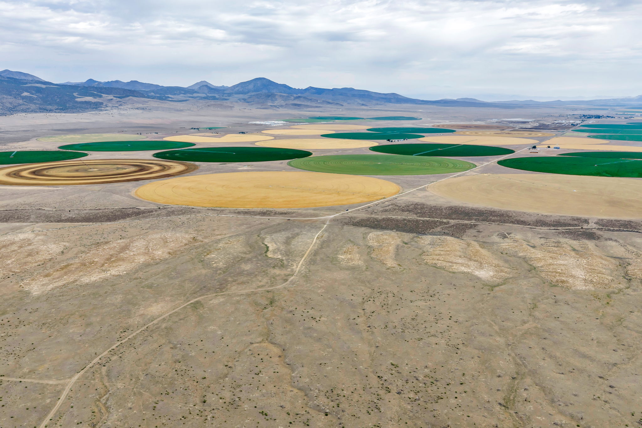 Expansive agricultural landscape featuring multiple circular fields