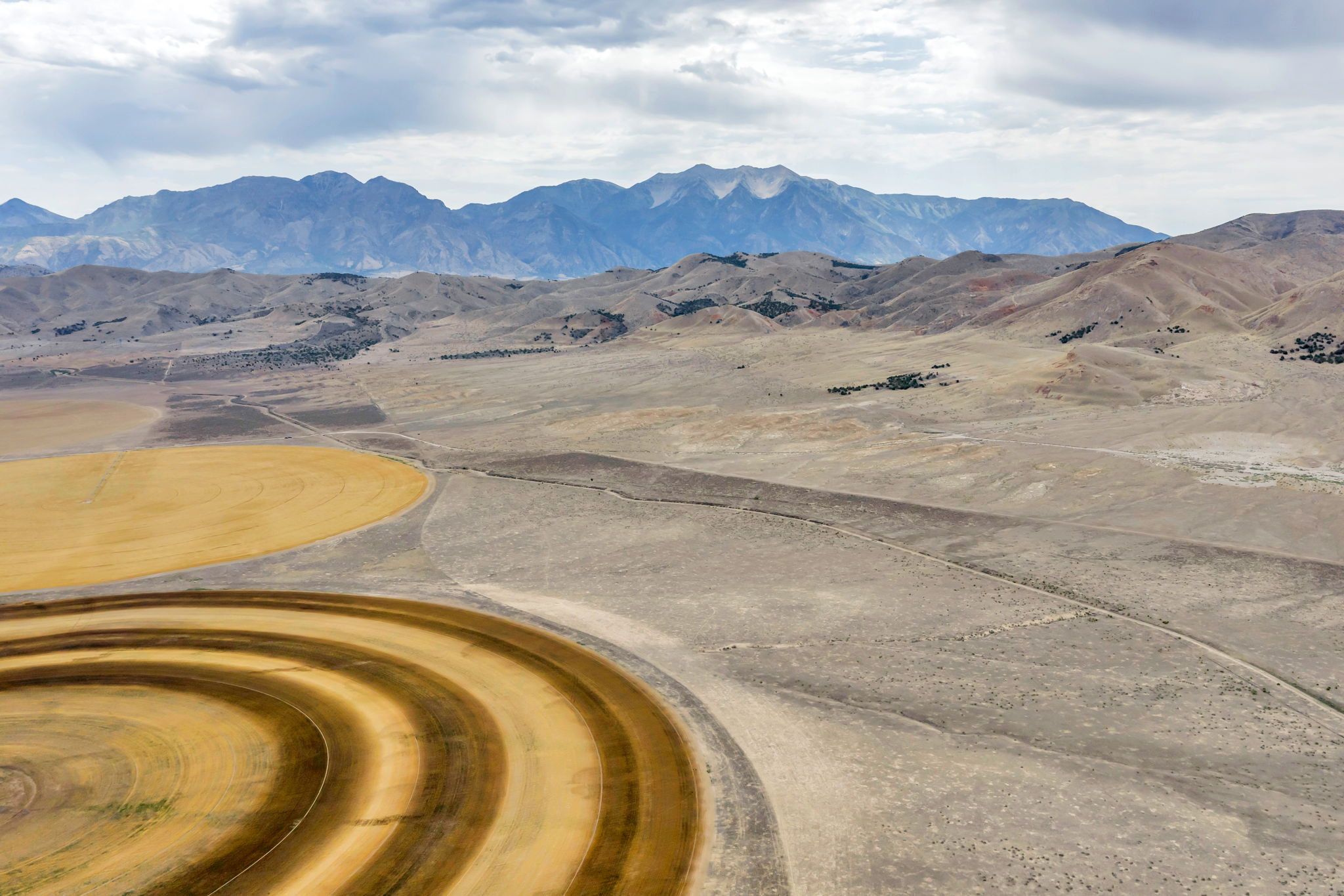 Expansive agricultural landscape featuring circular crop patterns, open terrain, and distant mountains