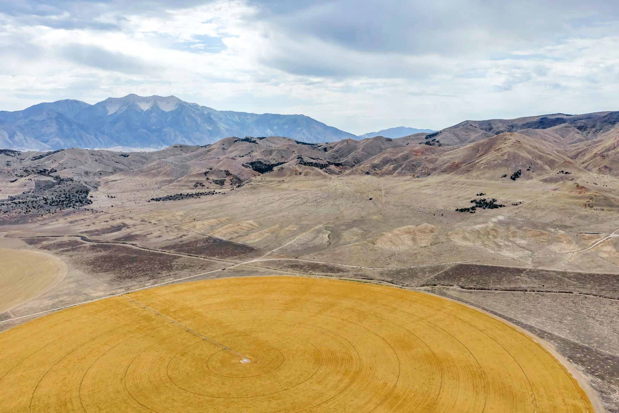 Expansive agricultural land featuring a circular field of golden crops and surrounding natural terrain