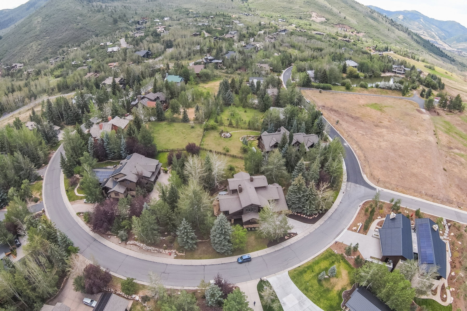 Expansive residential community with mature trees and paved roads, featuring a curved street design