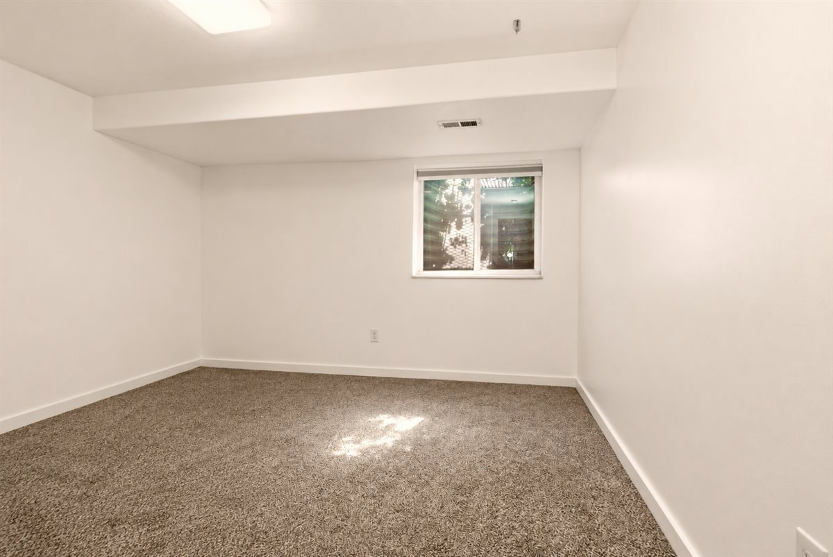 Spacious room featuring neutral carpeting, white walls, a white trim package, and a single window