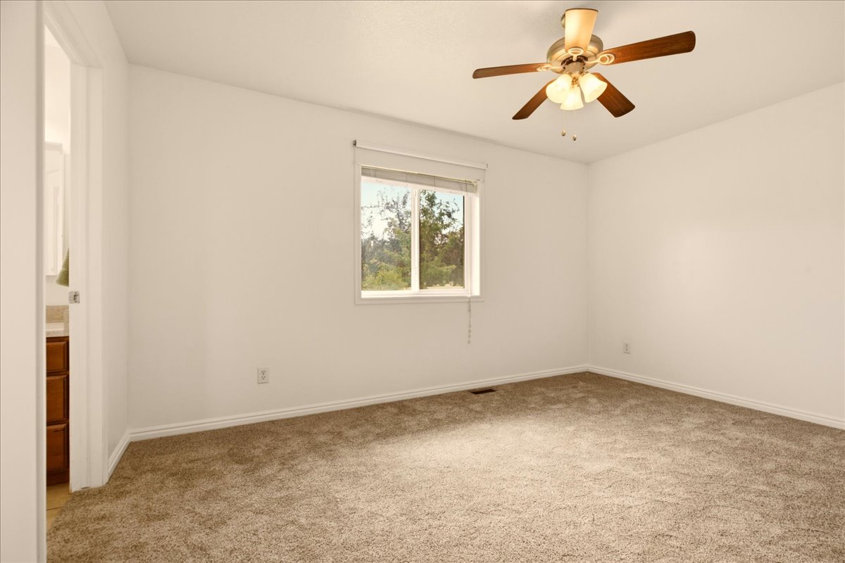 Room featuring a window with natural light, a ceiling fan, and neutral-toned carpeting