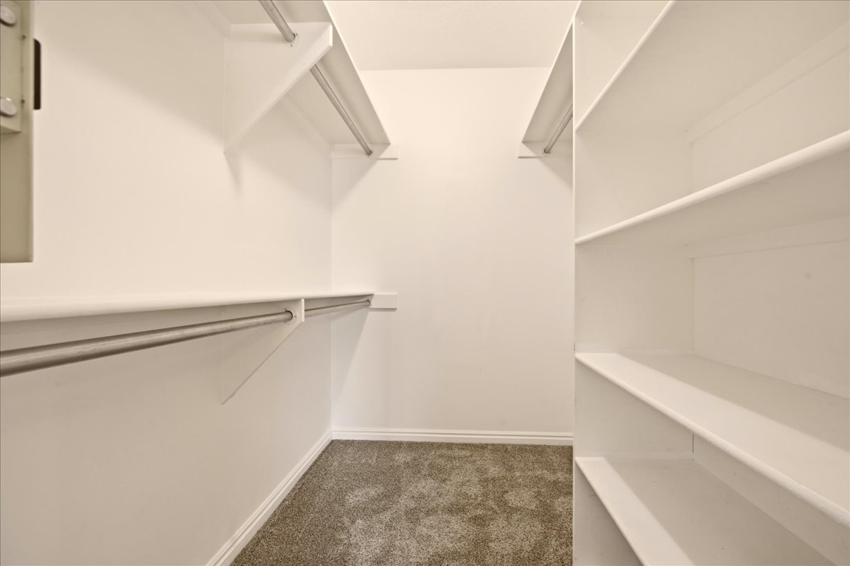 Walk-in closet featuring built-in shelving, dual hanging rods, white walls, and neutral carpet flooring