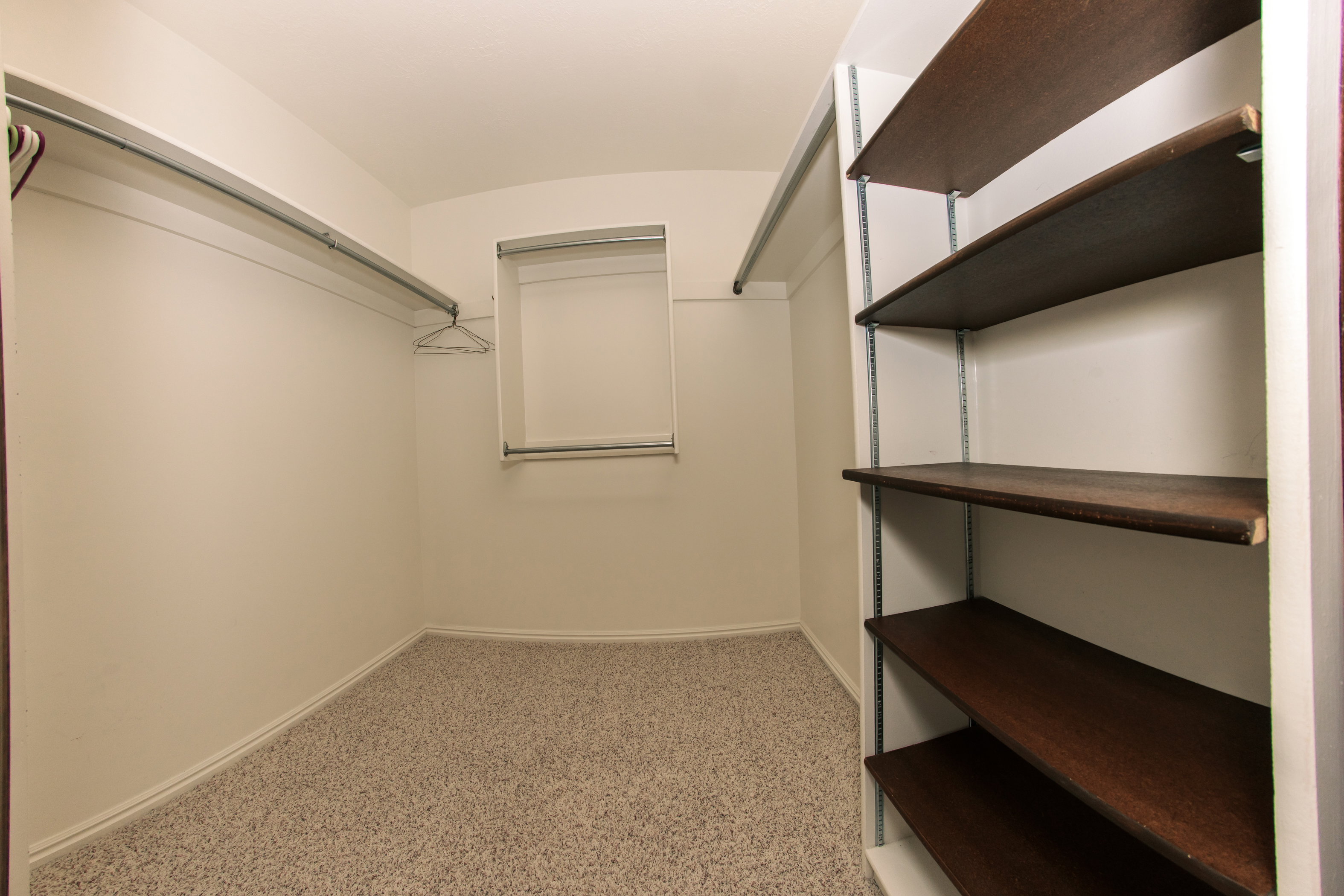 Walk-in closet featuring light beige carpeting, white walls, multiple hanging rods, and dark wood-finish shelving with adjustable metal supports