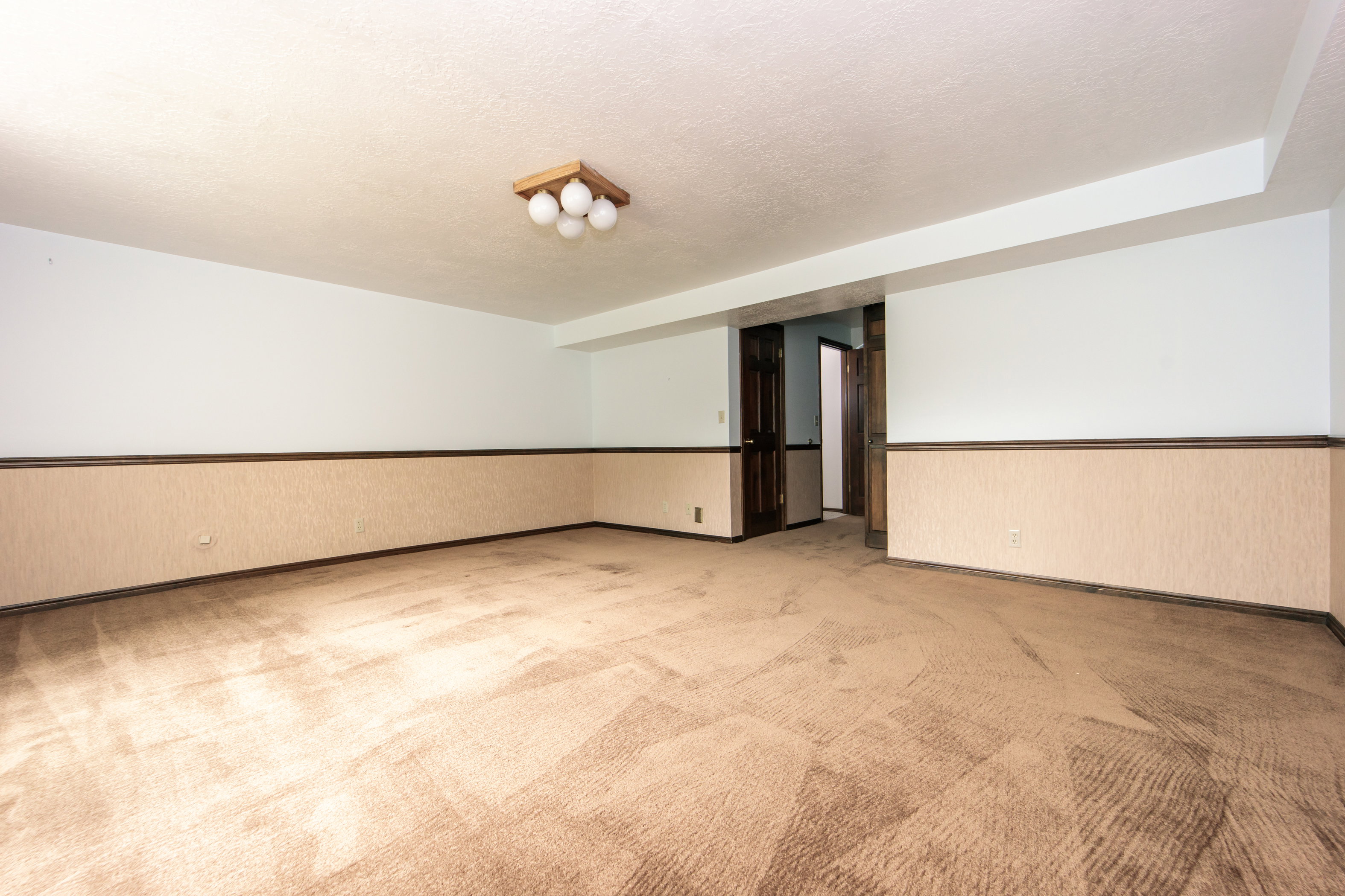 Spacious interior room with light-colored carpeting, white upper walls, and a patterned wainscoting