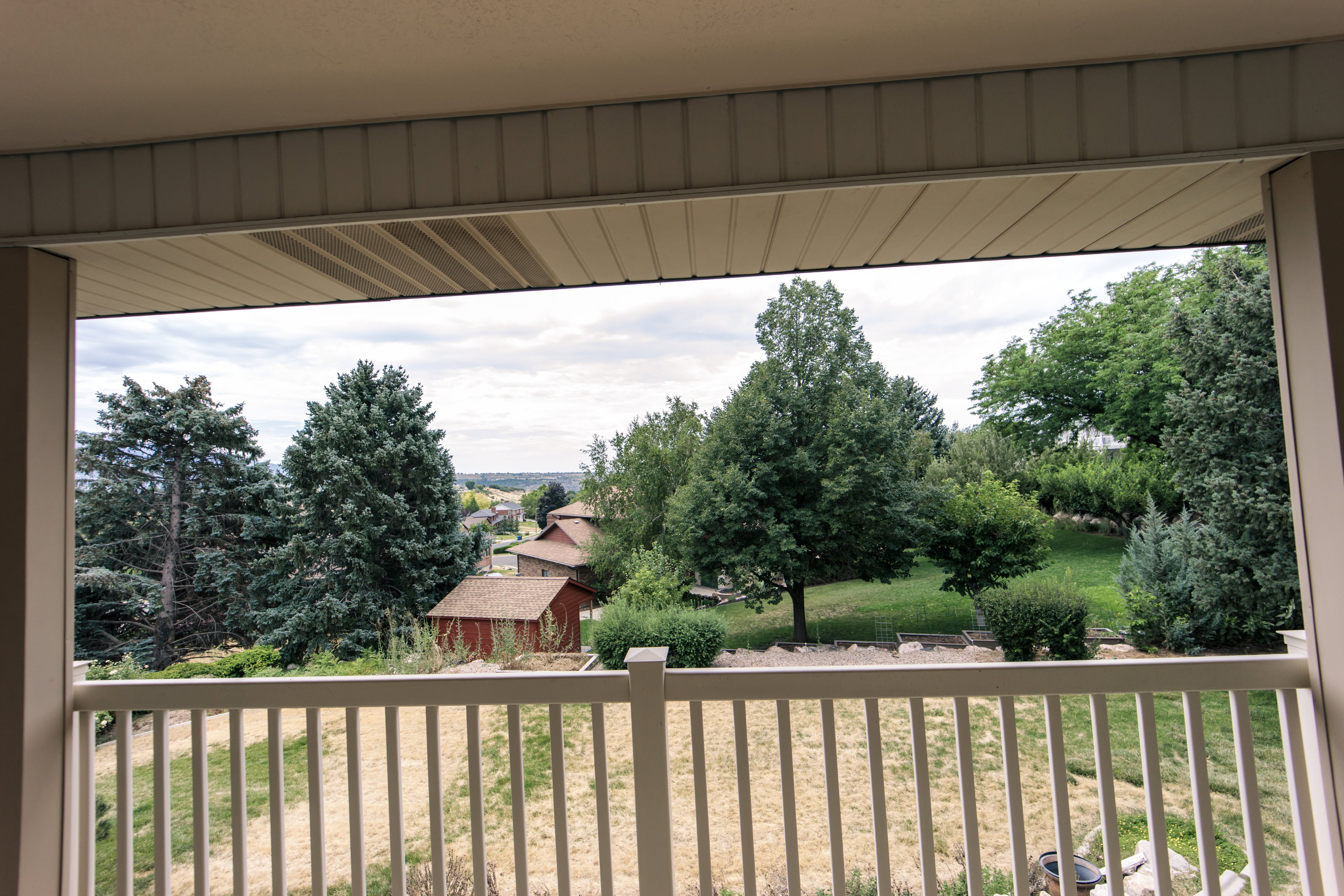 Outdoor balcony with white railing, overlooking varied mature trees, natural landscaping, and distant structures