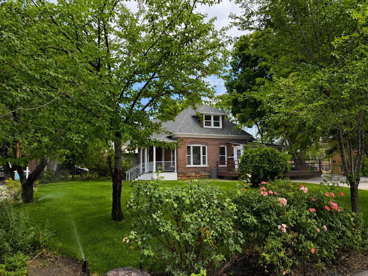 Mature Landscaping