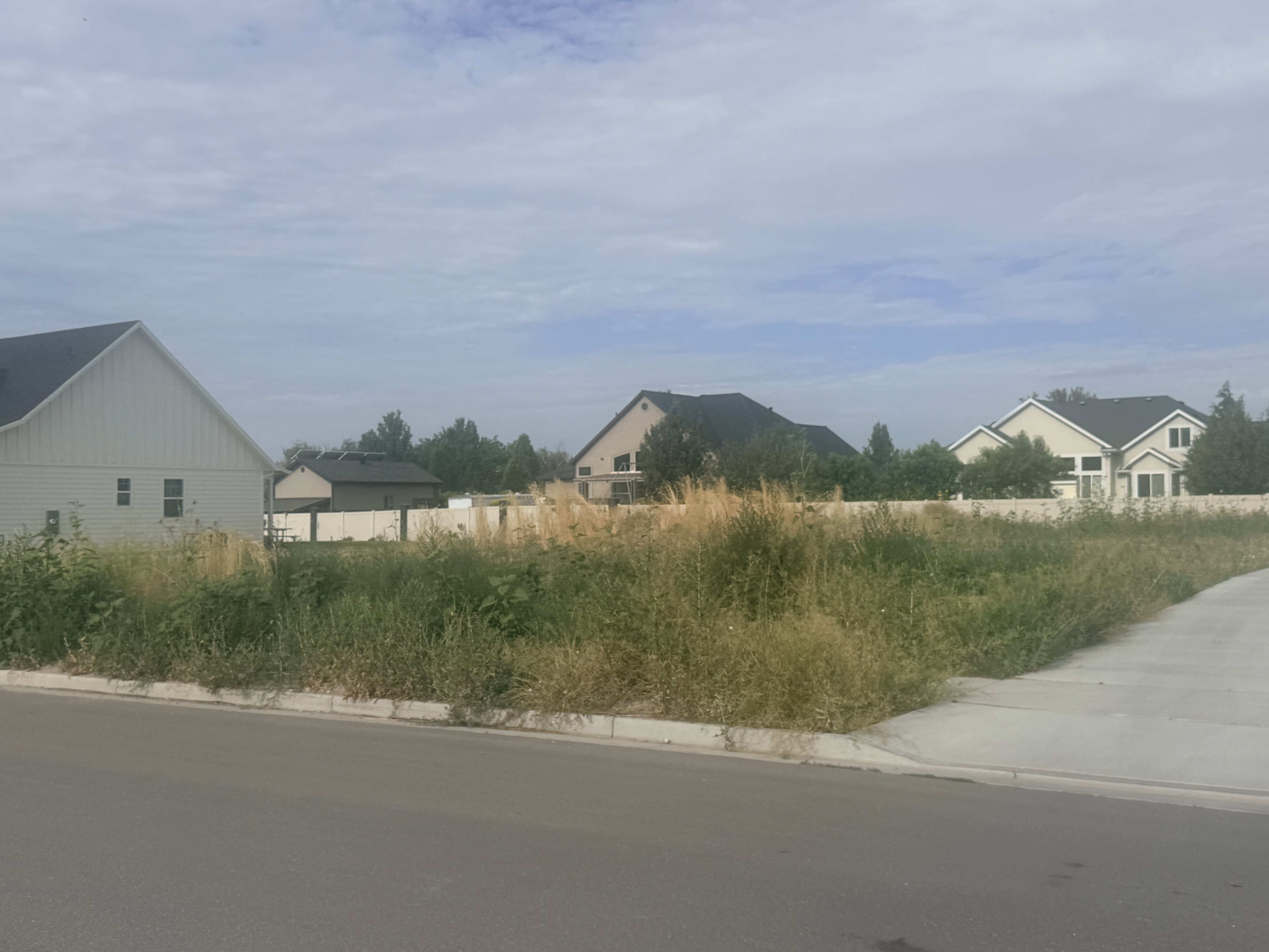 Vacant land parcel featuring mature vegetation and a concrete curb and gutter