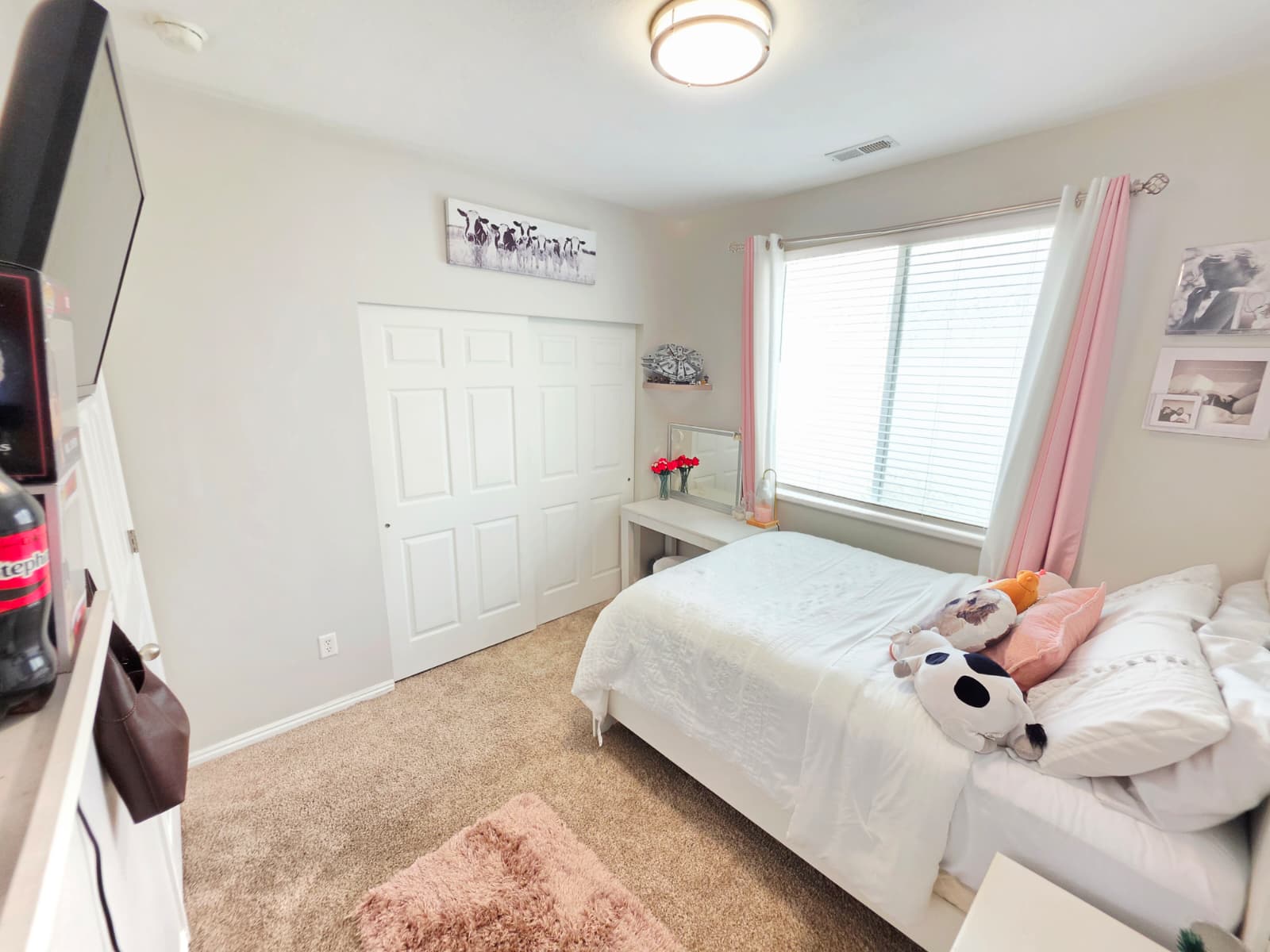 Carpeted room featuring a double-door closet, a large window with blinds, and light neutral wall colors