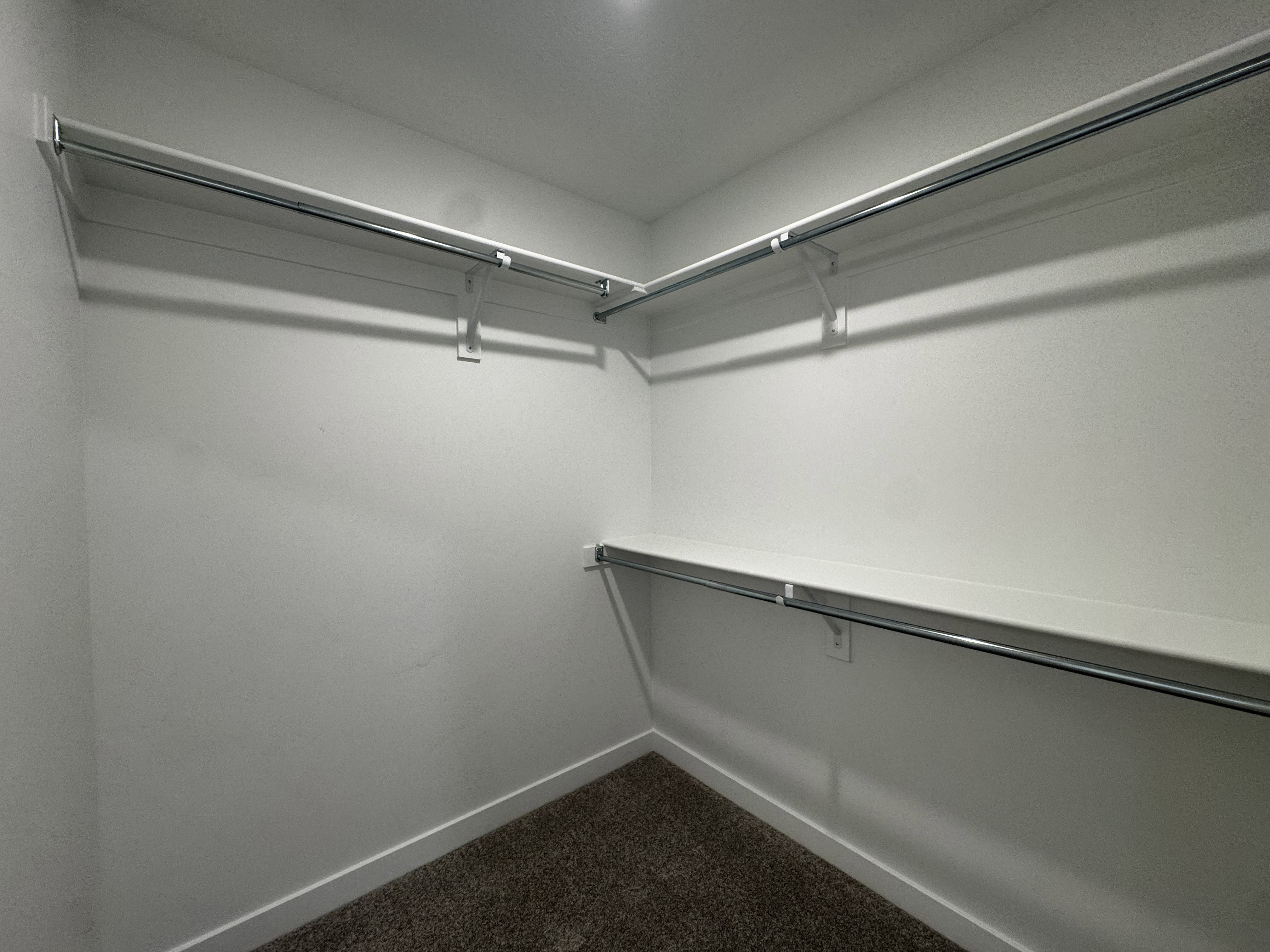 Walk-in closet featuring white walls, white shelving, metal hanging rods, and dark carpet flooring