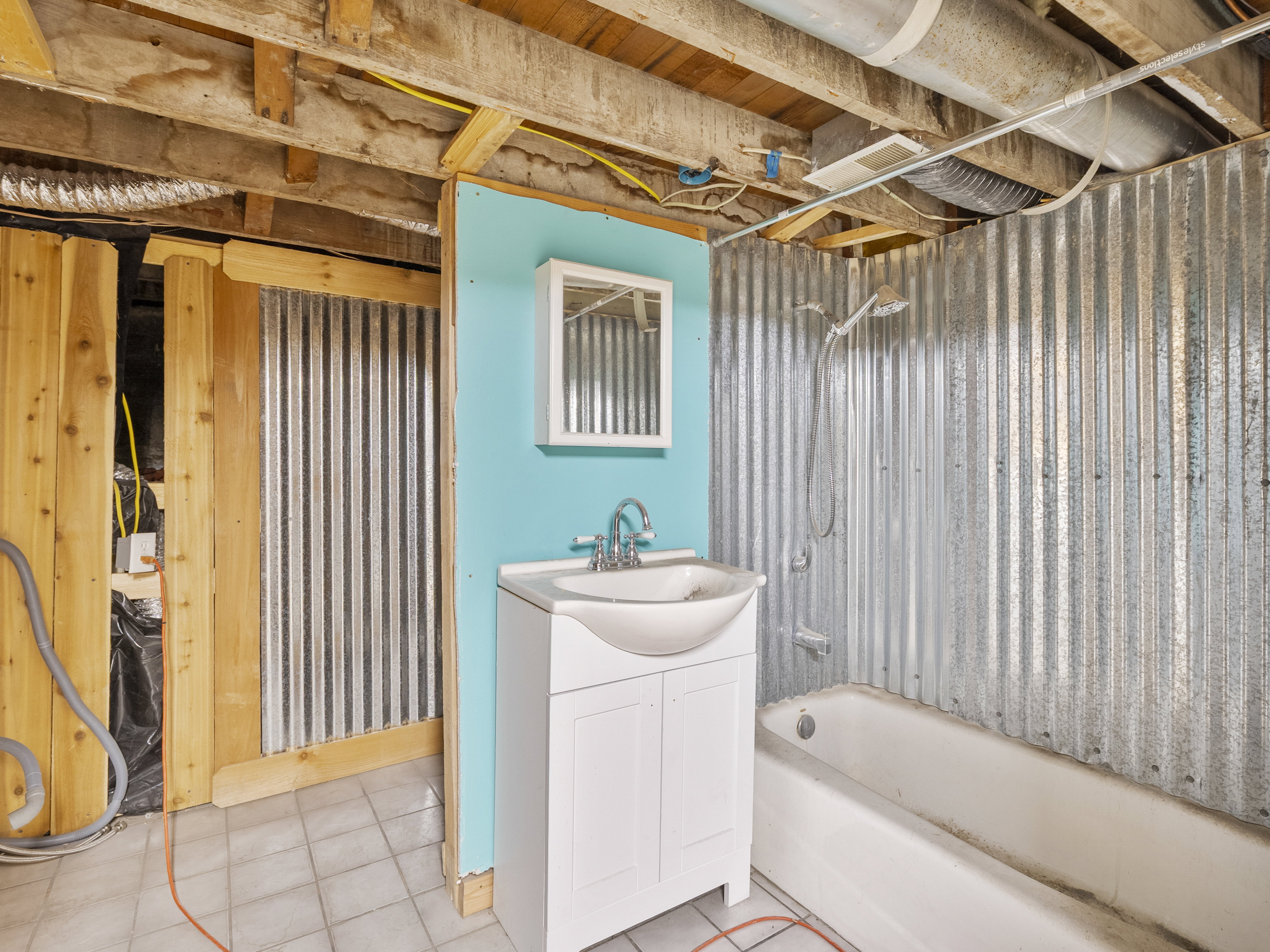 Unfinished Basement bathroom.