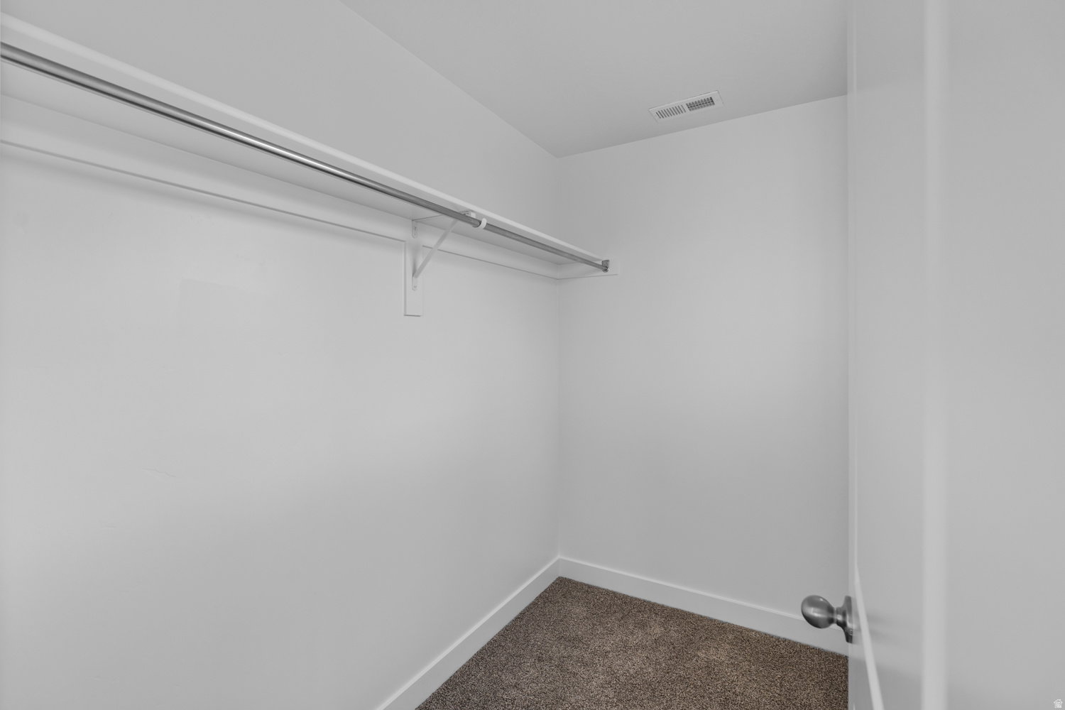 Walk-in closet featuring a metal hanging rod, white walls, white trim, and brown carpet flooring
