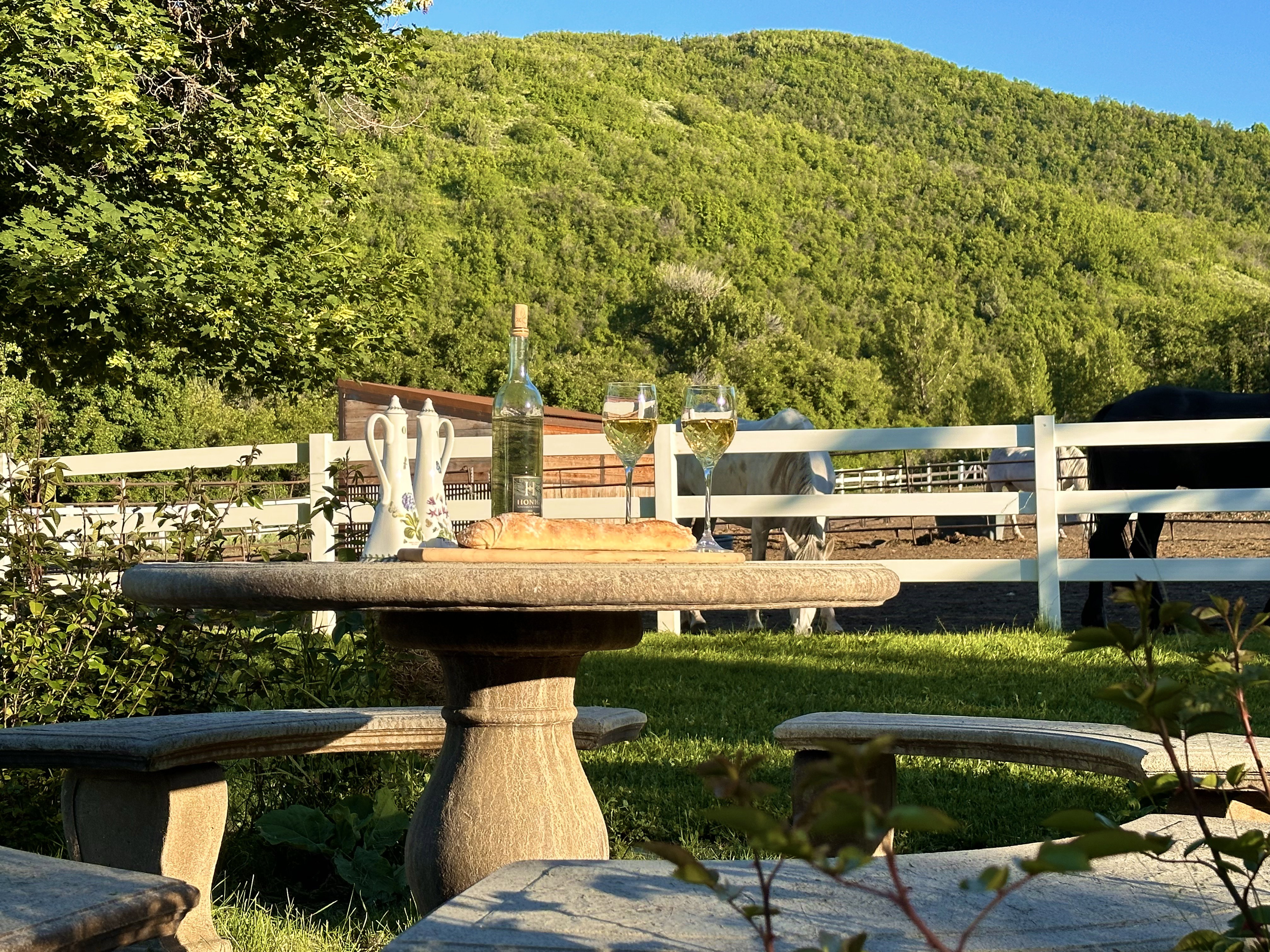 Outdoor stone table and benches, situated on a verdant lawn