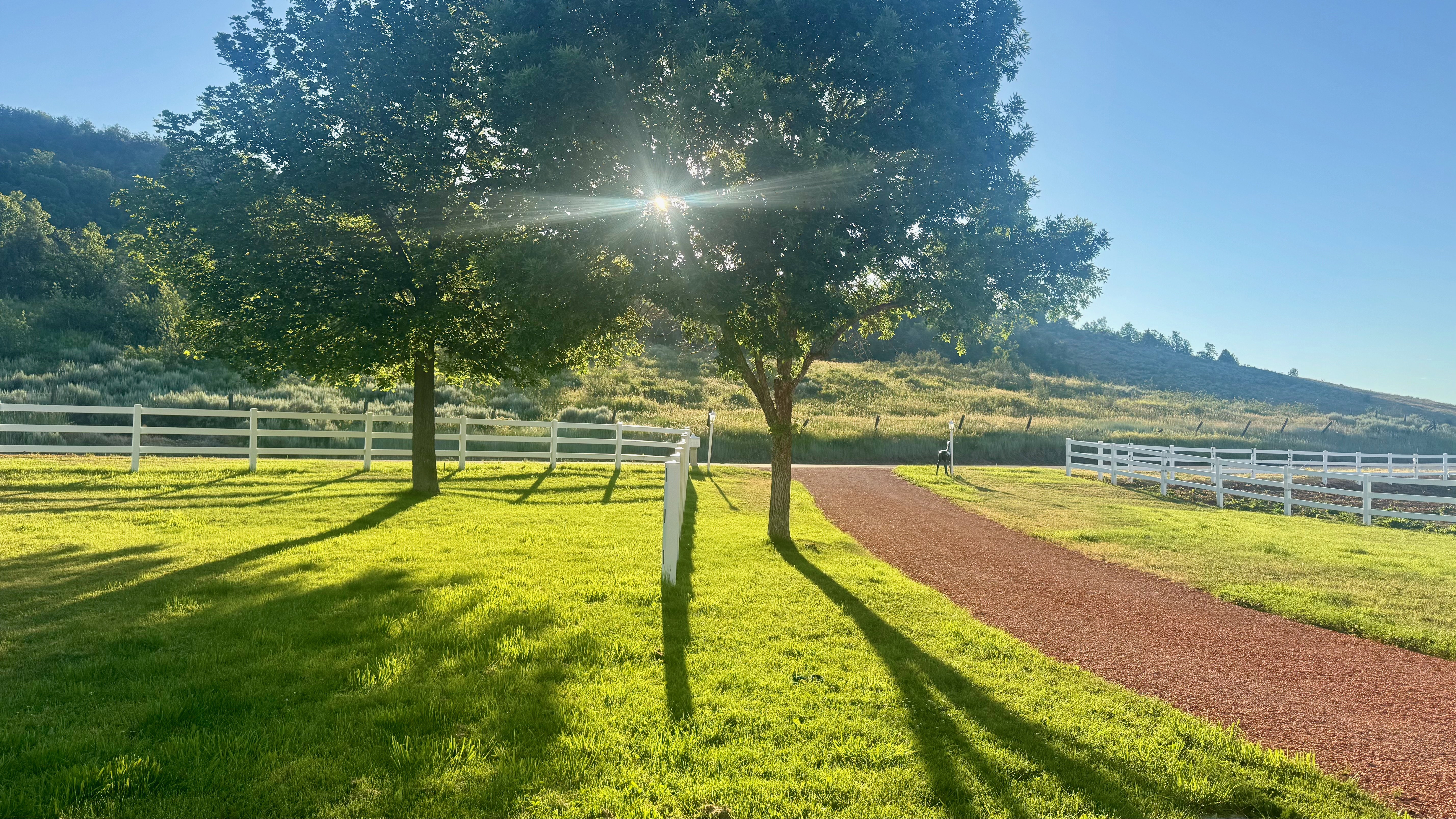 Expansive green lawn with mature trees and a white post-and-rail fence