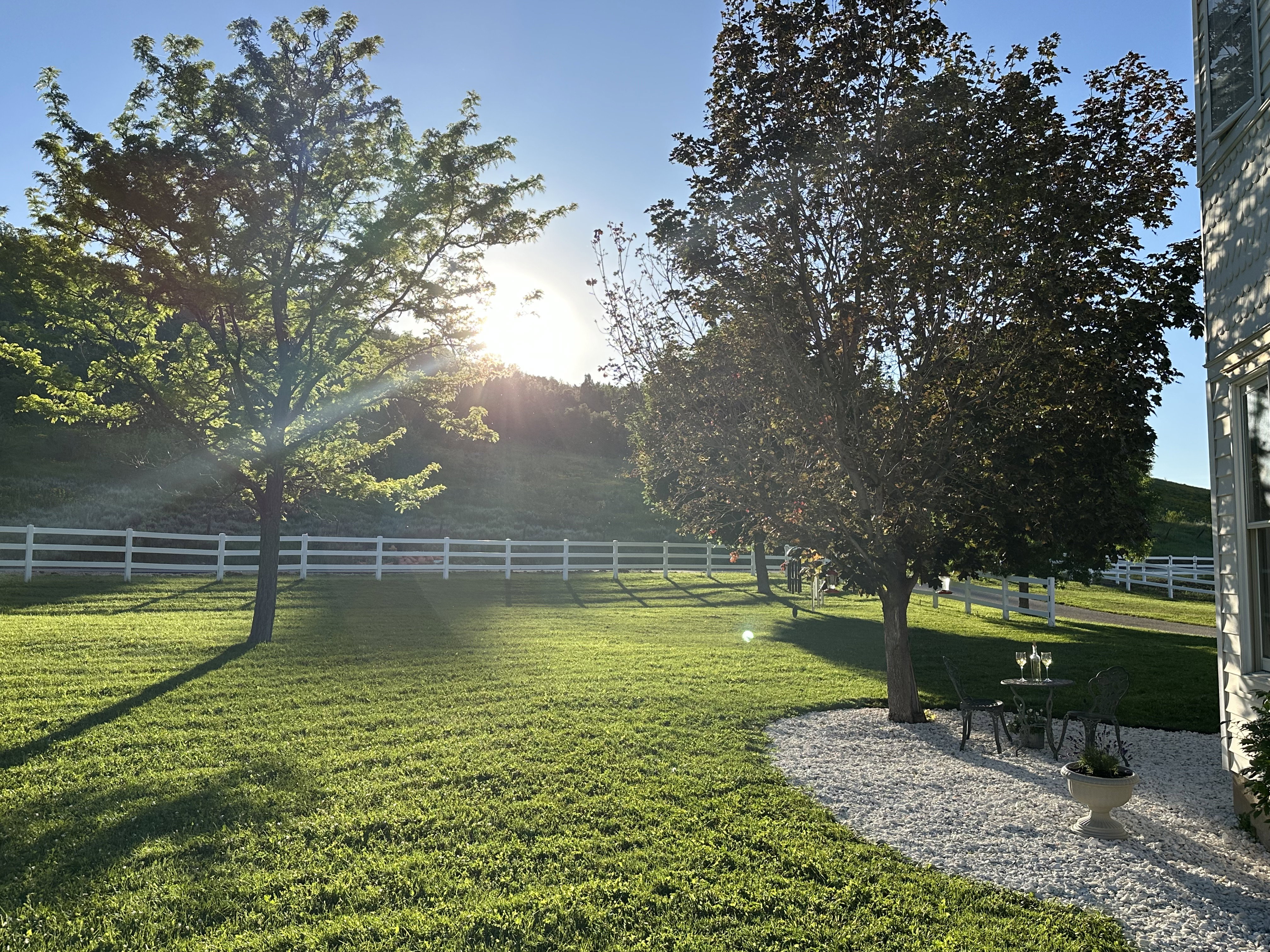 Expansive green lawn with mature trees and white fencing