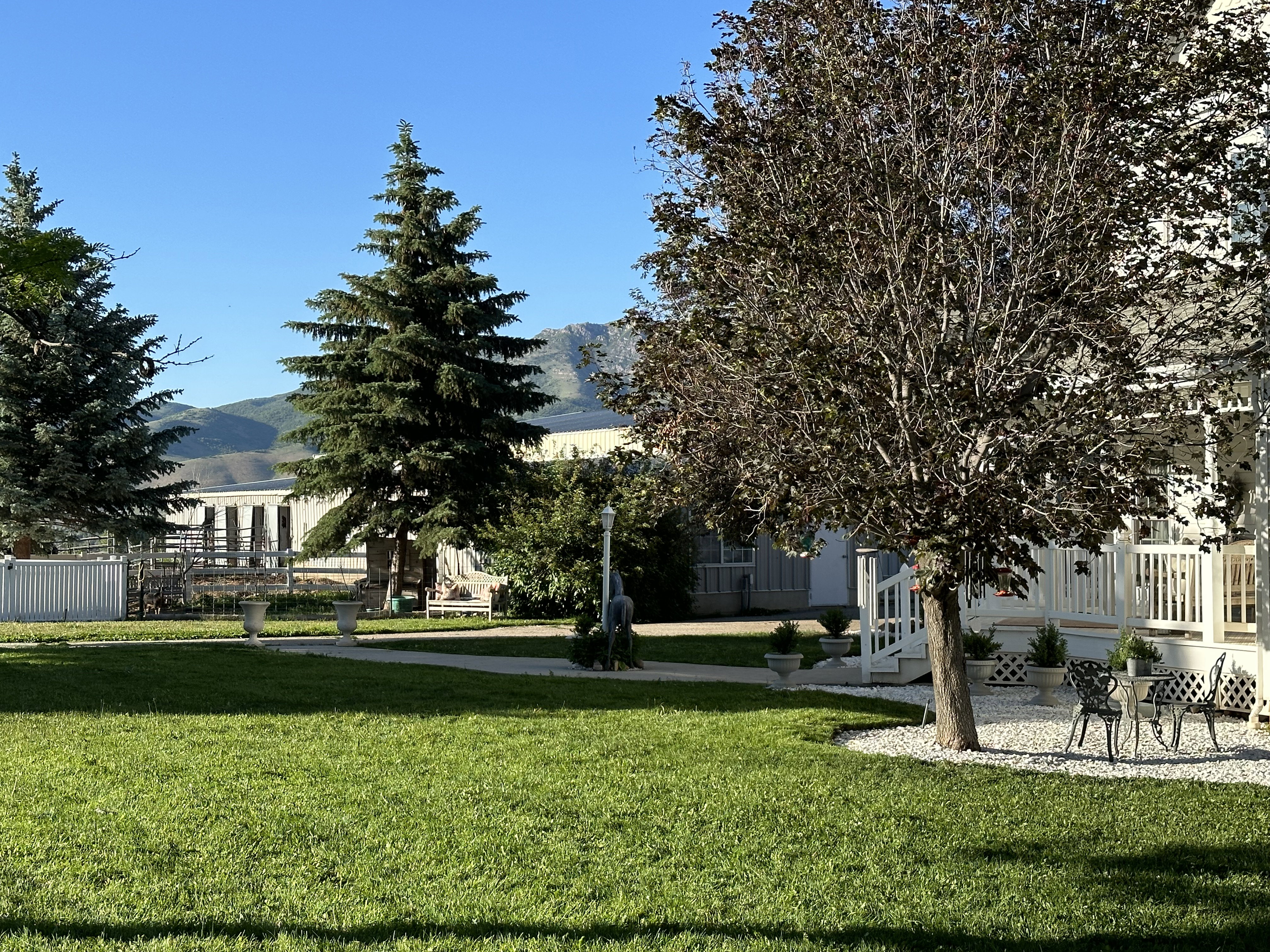 Expansive lawn area with mature trees and a paved walkway
