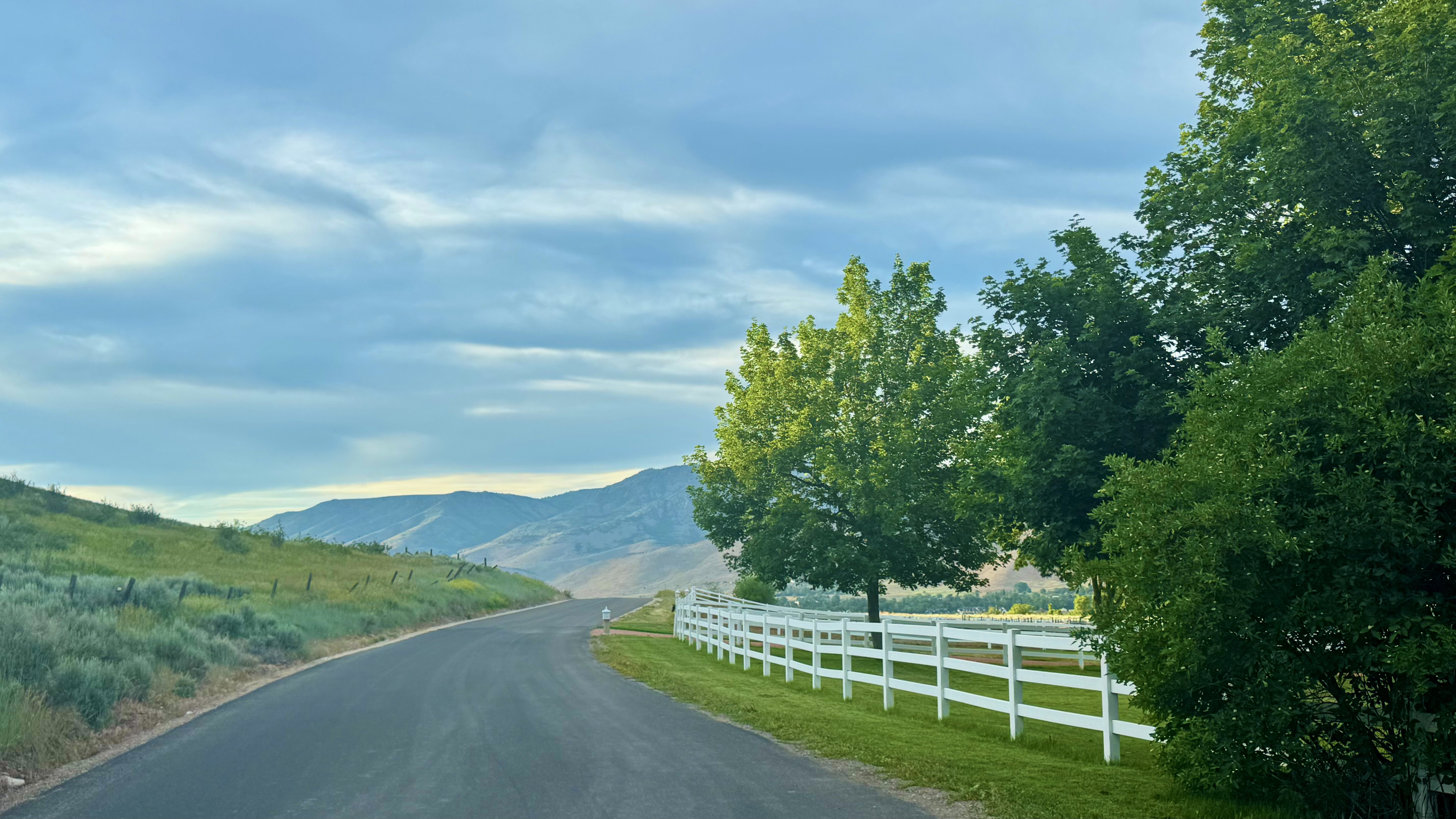 Paved road bordered by a white fence and mature trees