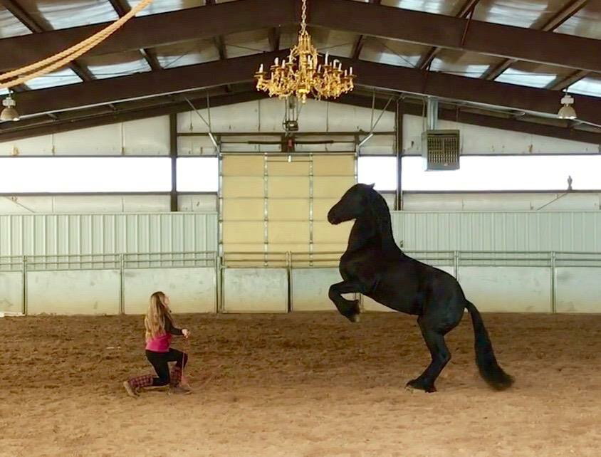 Spacious indoor arena featuring a sand riding surface, metal beam construction, and perimeter fencing