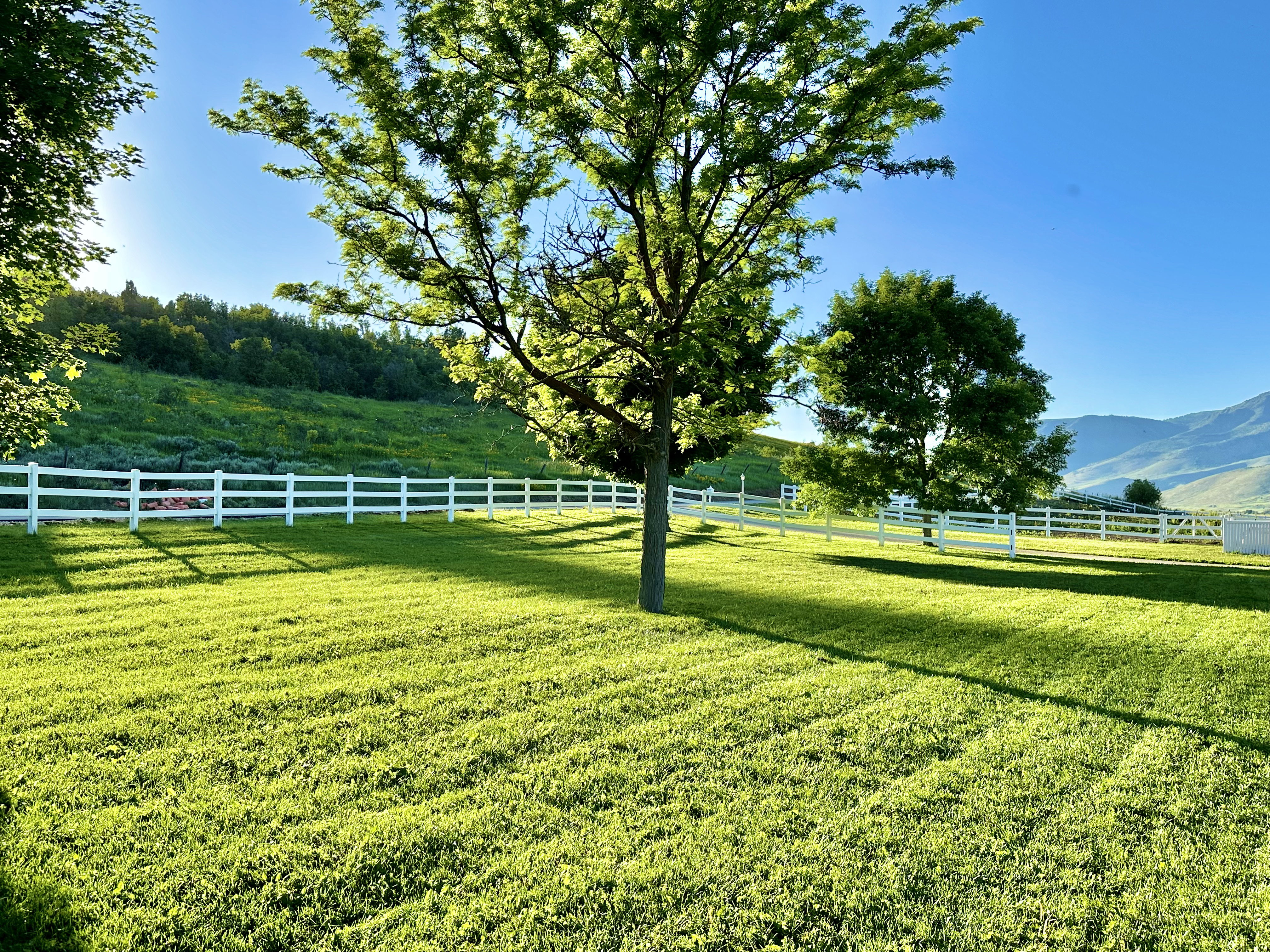 Spacious green lawn with mature trees and white fencing, set against a backdrop of rolling hills and distant mountains
