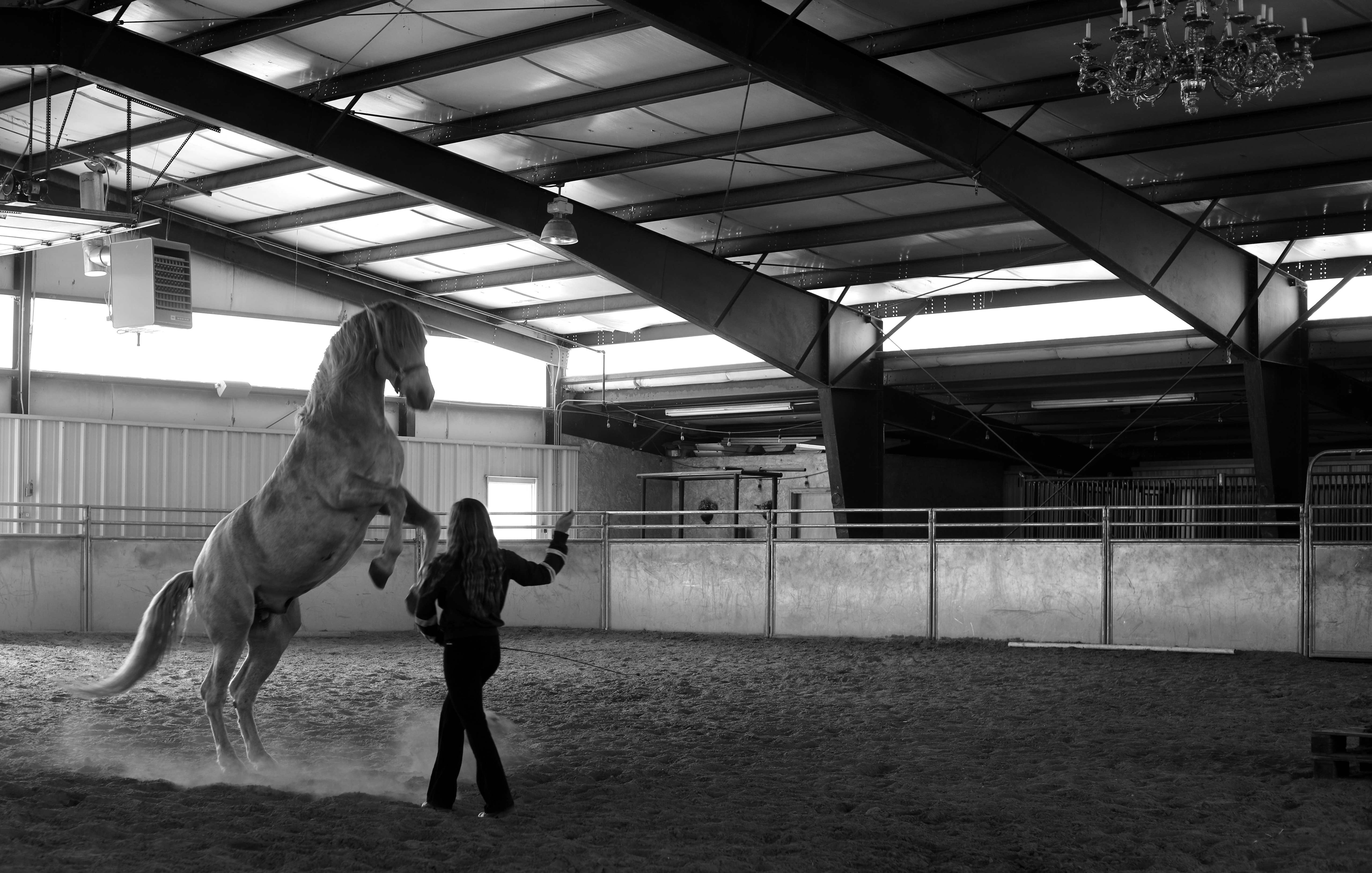 Indoor riding arena with expansive open space, high ceilings, exposed structural beams, perimeter fencing, and overhead lighting fixtures