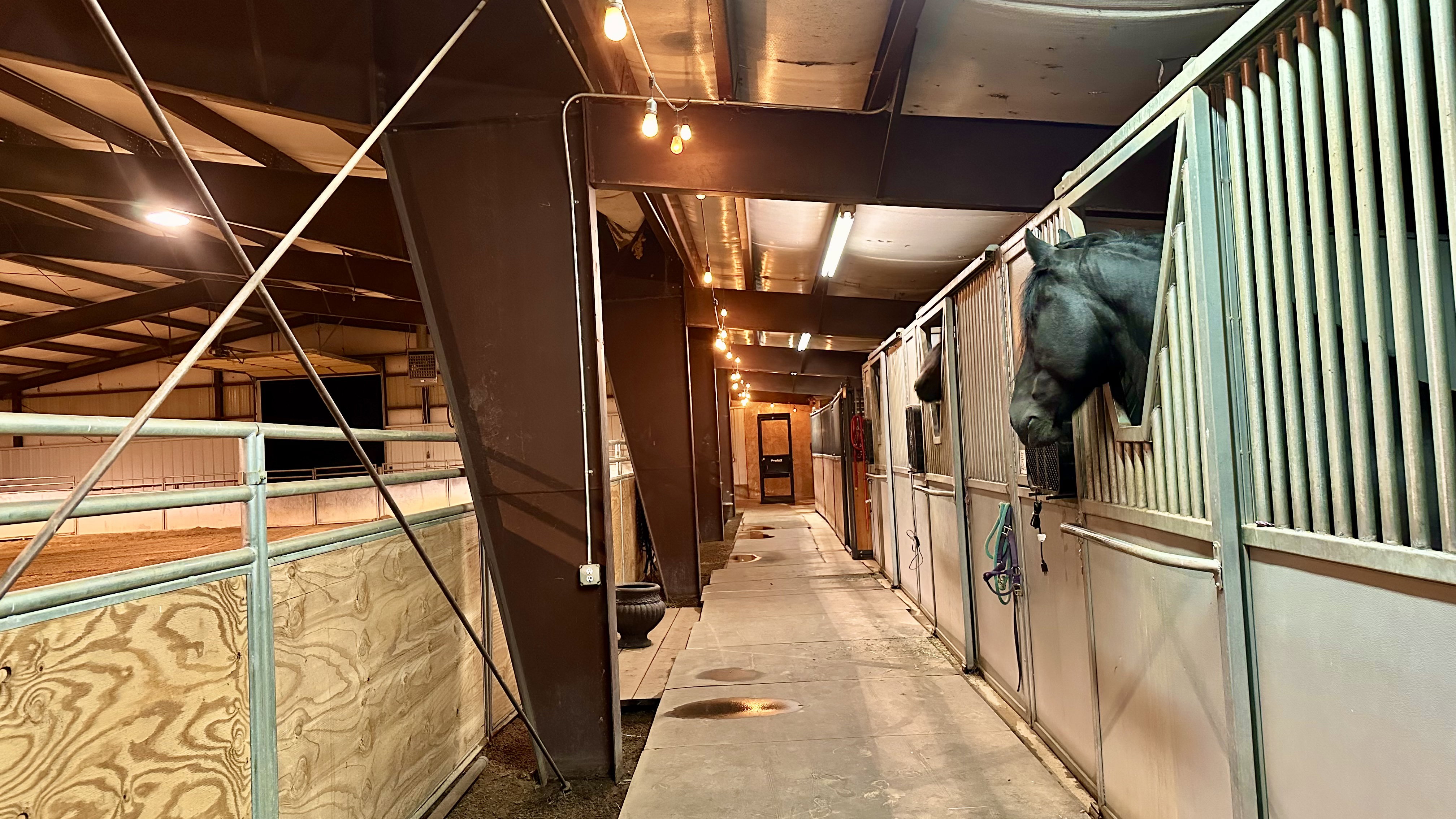 Spacious indoor riding arena with sand footing, multiple horse stalls with vertical metal bars, exposed structural beams, and overhead string lighting