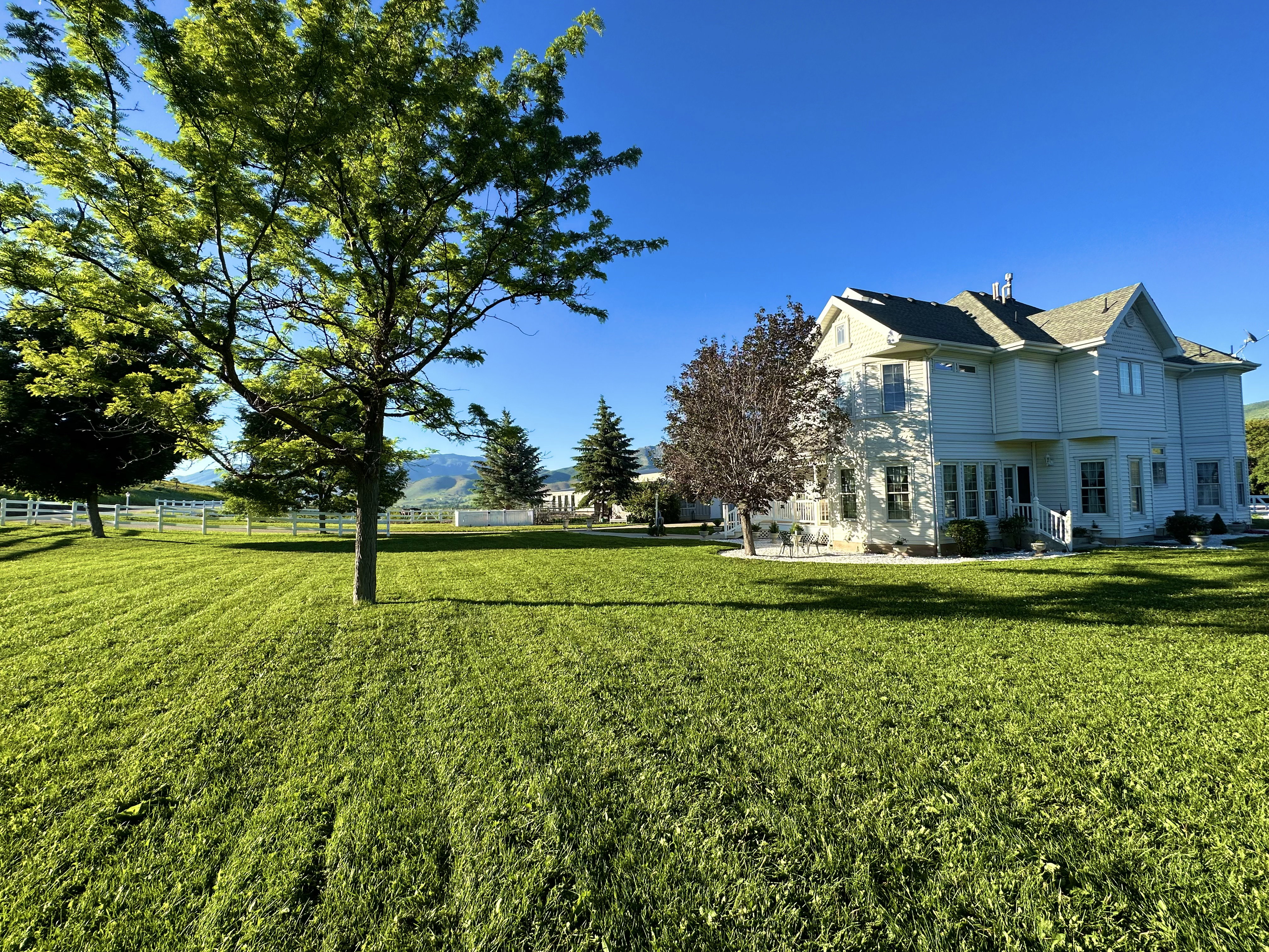 Expansive green lawn with mature trees and a white picket fence, framing a multi-story residence with light-colored siding and a gabled roofline