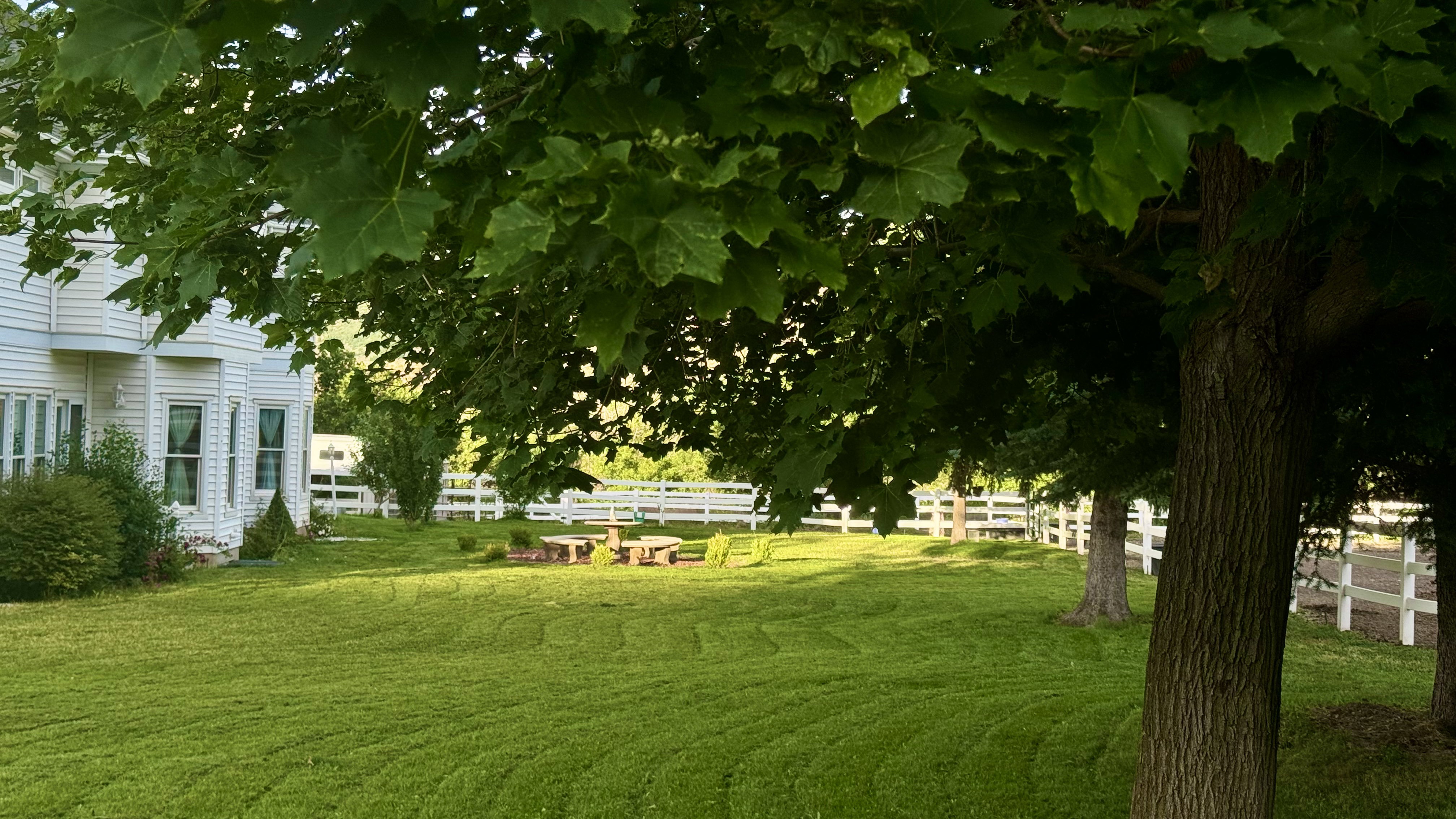 Expansive lawn area featuring mature trees and a white picket fence perimeter