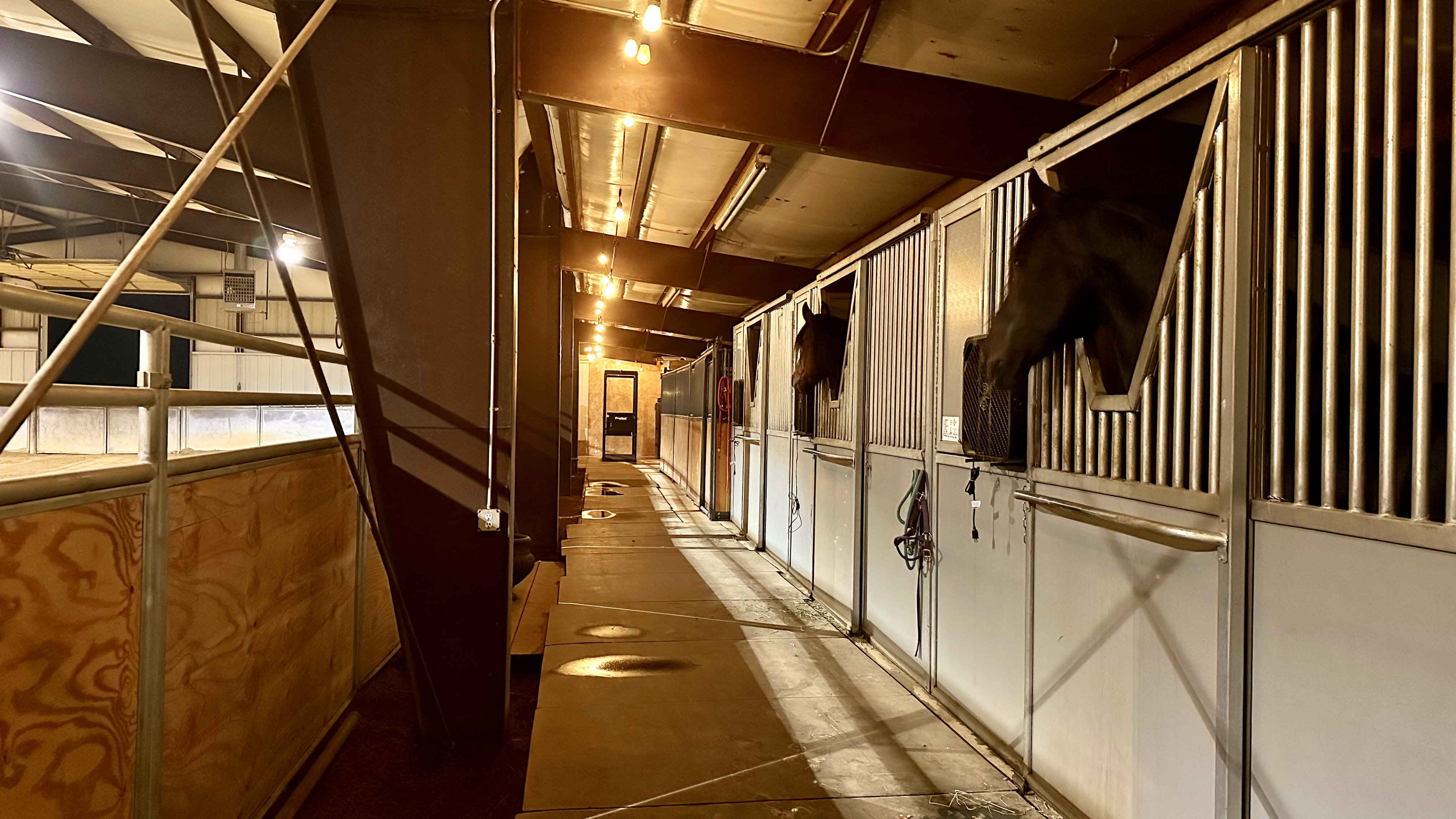 Interior barn aisle featuring multiple stalls with metal bars and lower panels