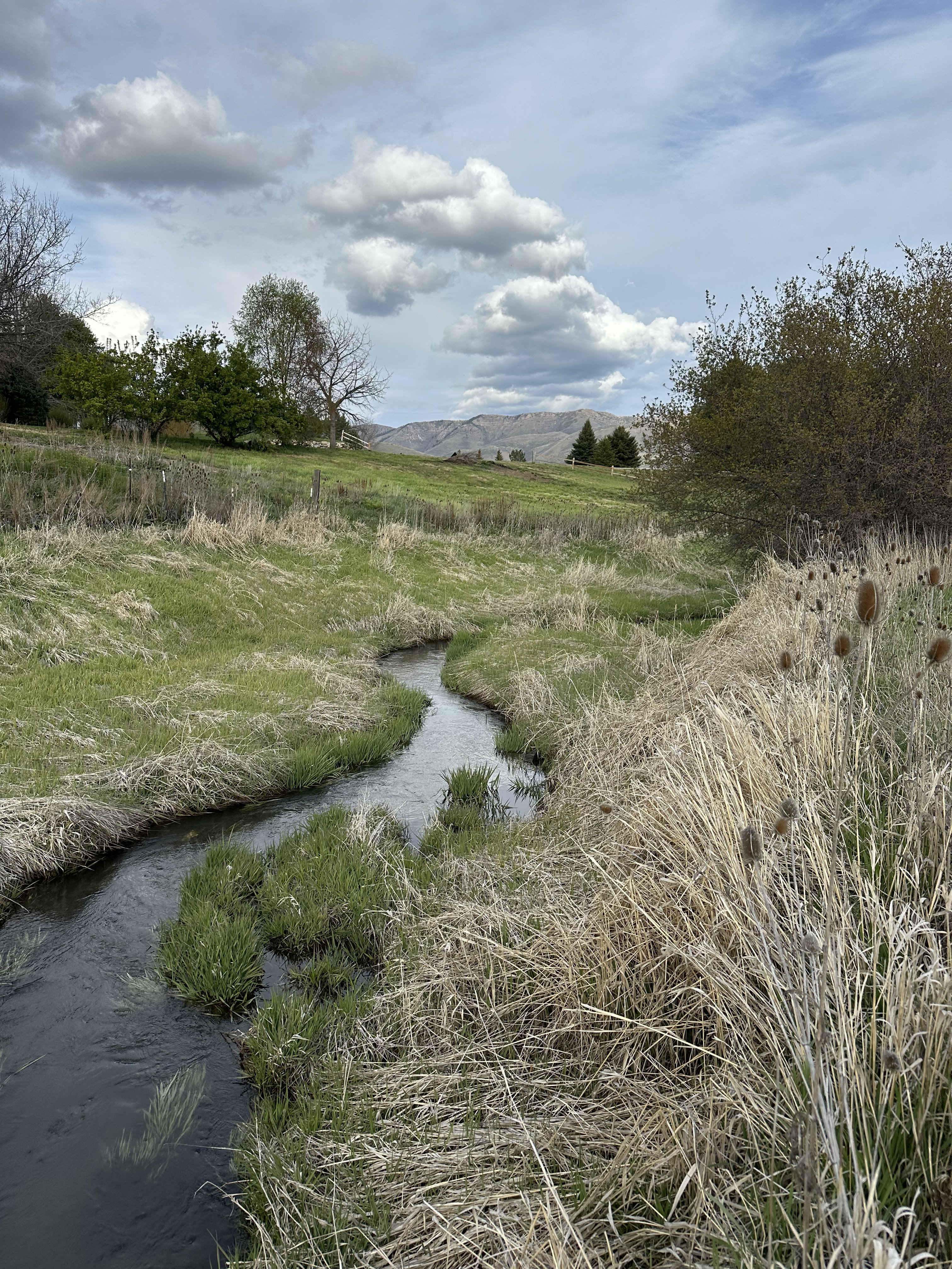 Winding stream traversing a grassy landscape with distant mountains