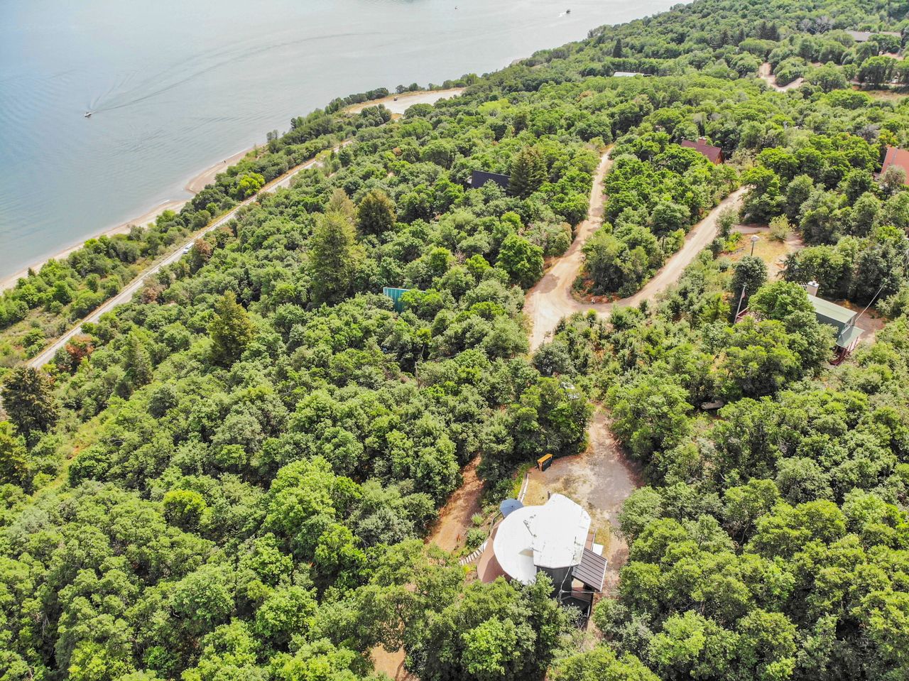 Expansive tree-covered landscape bordering a body of water with a distinct, circular-roofed structure