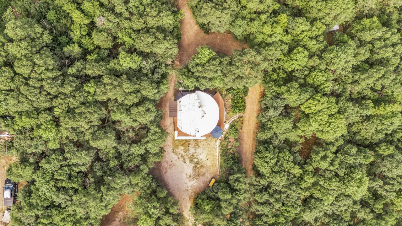 Circular structure surrounded by dense, verdant tree canopy