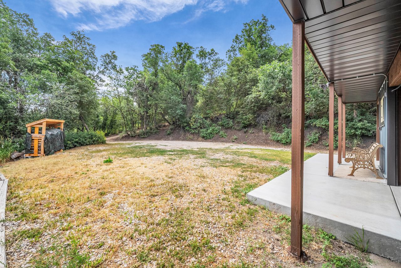 Expansive outdoor area featuring a covered concrete patio, wood-finish support columns, a wood-frame shed, and abundant mature trees