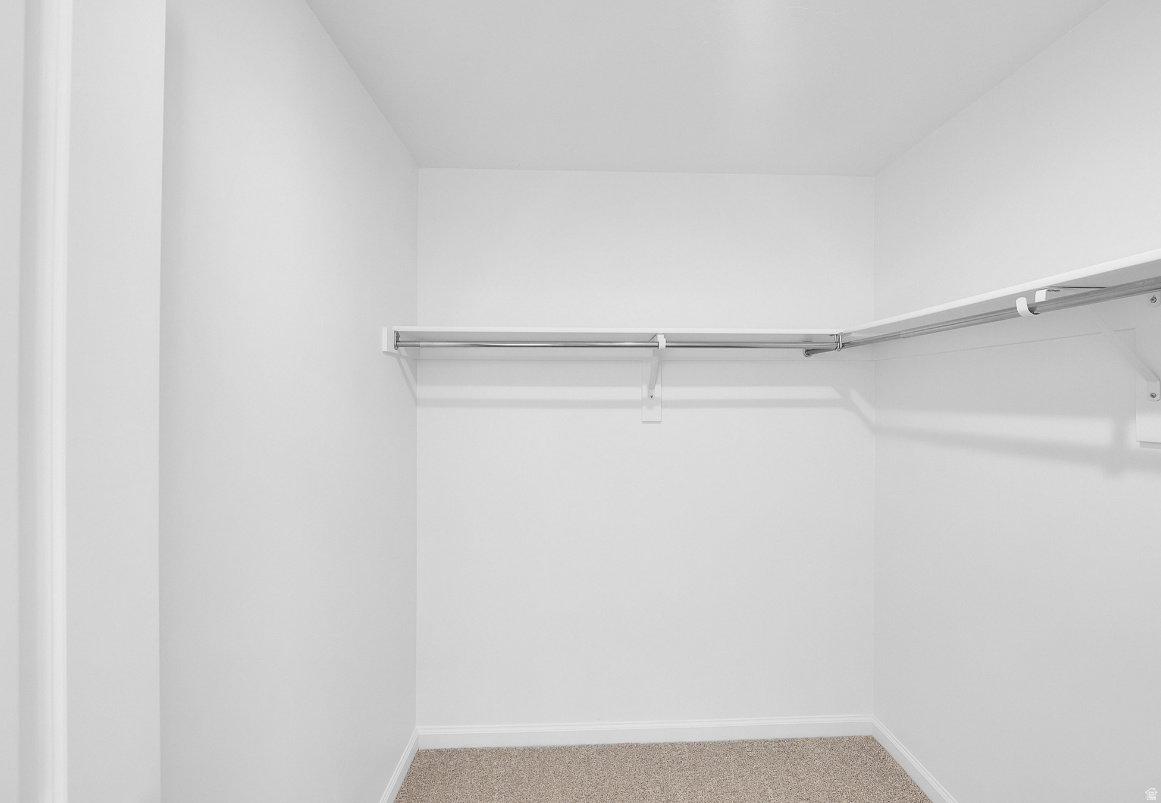 Walk-in closet featuring light beige carpet flooring and white walls