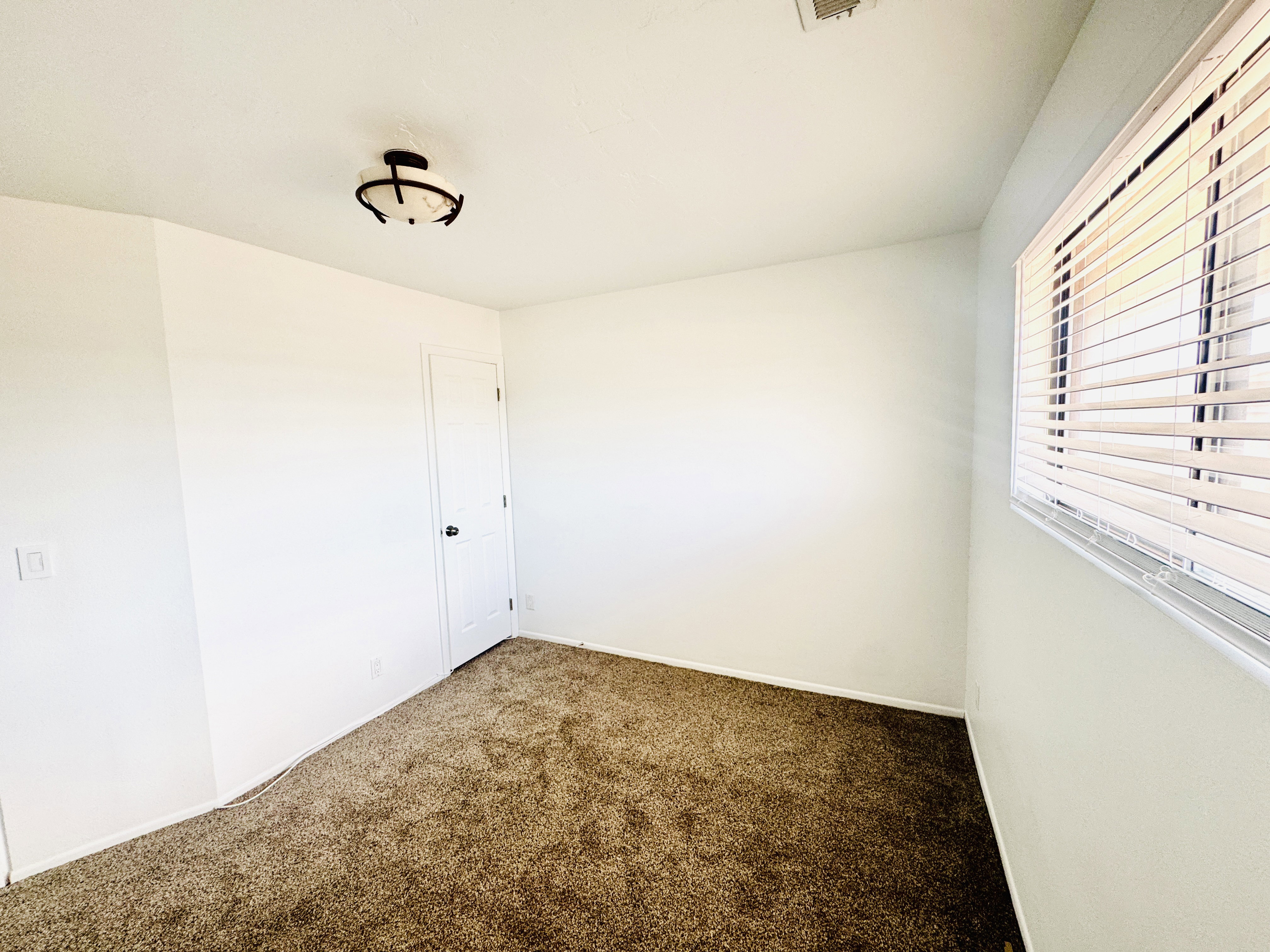 Carpeted room featuring a ceiling-mounted light fixture, a white interior door with a dark knob, and a window with horizontal blinds